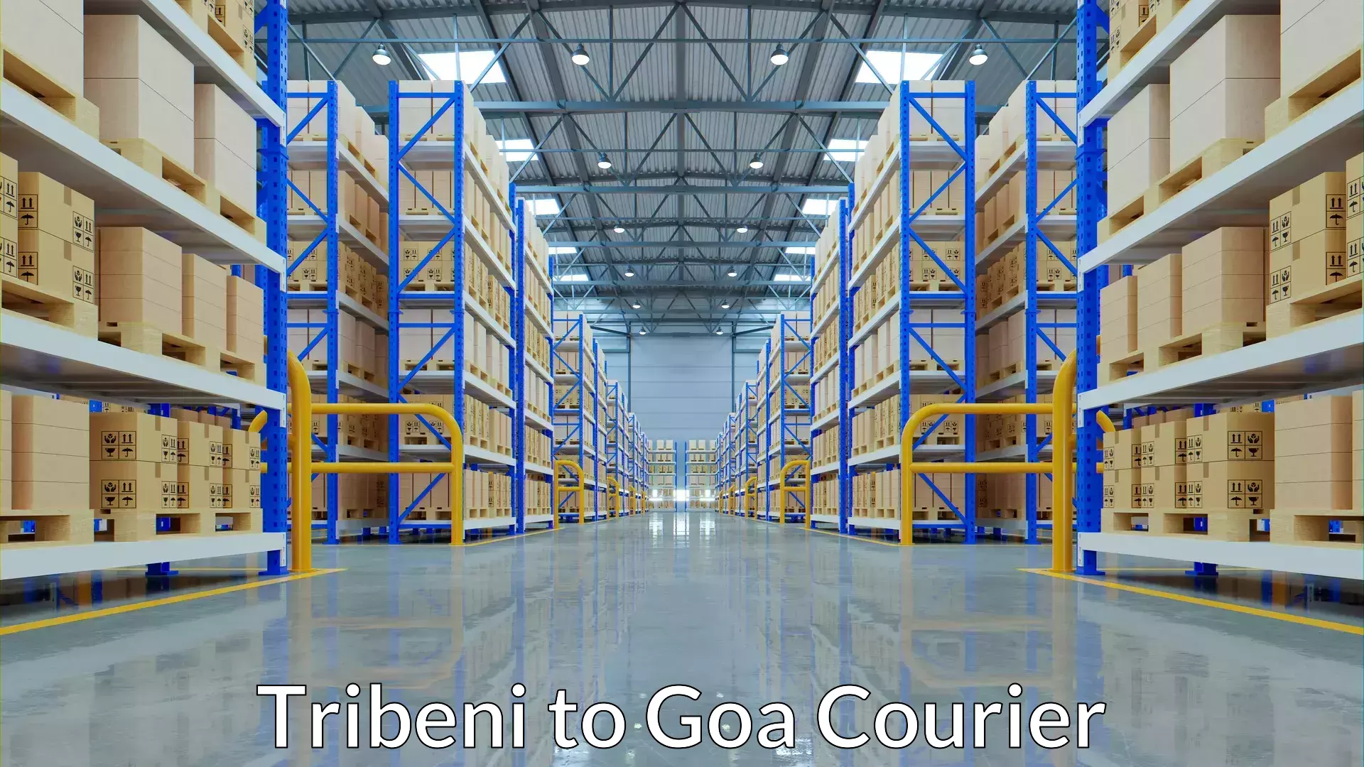 Smart parcel tracking Tribeni to IIT Goa