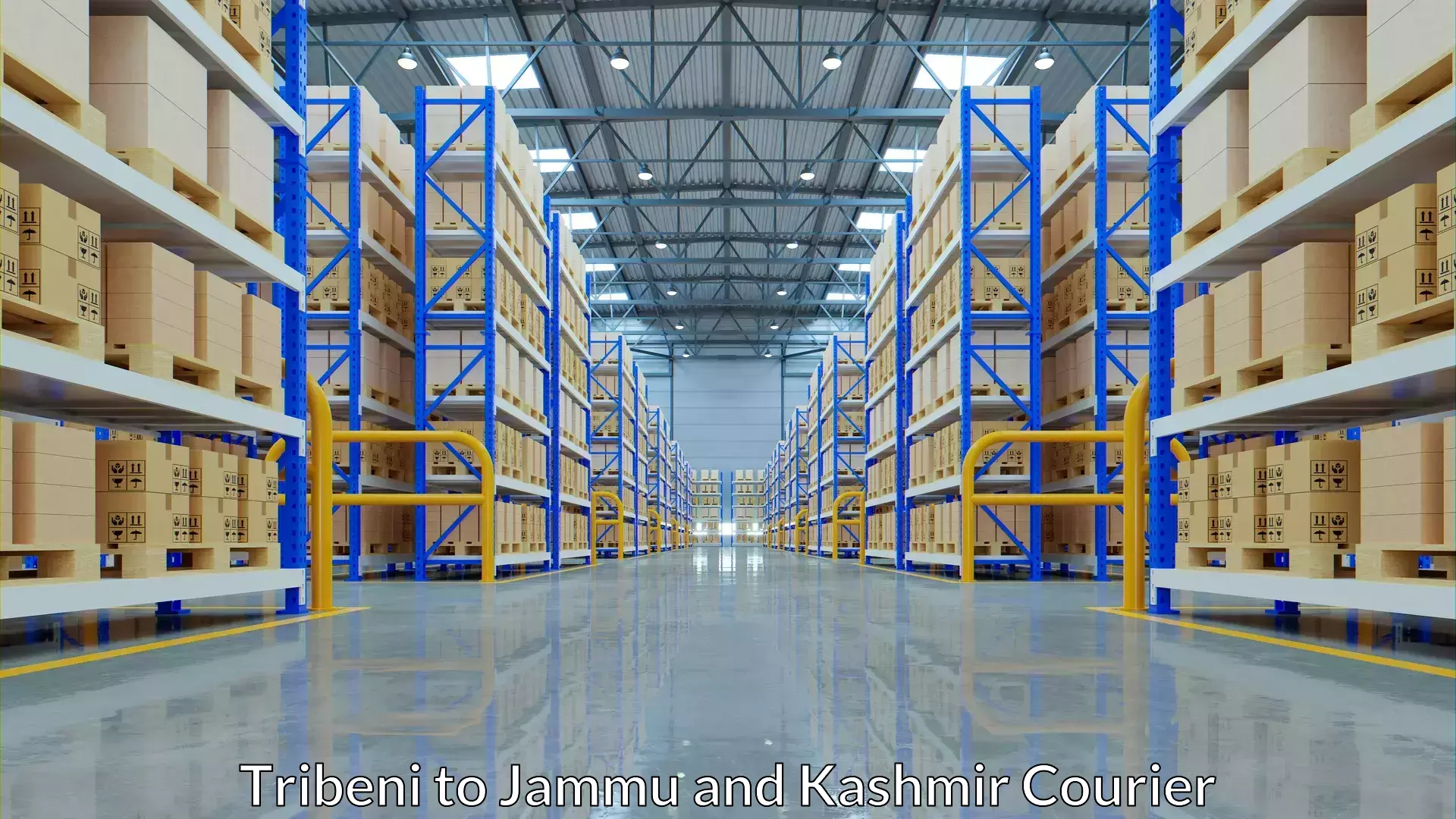 Modern delivery technologies Tribeni to Jammu and Kashmir