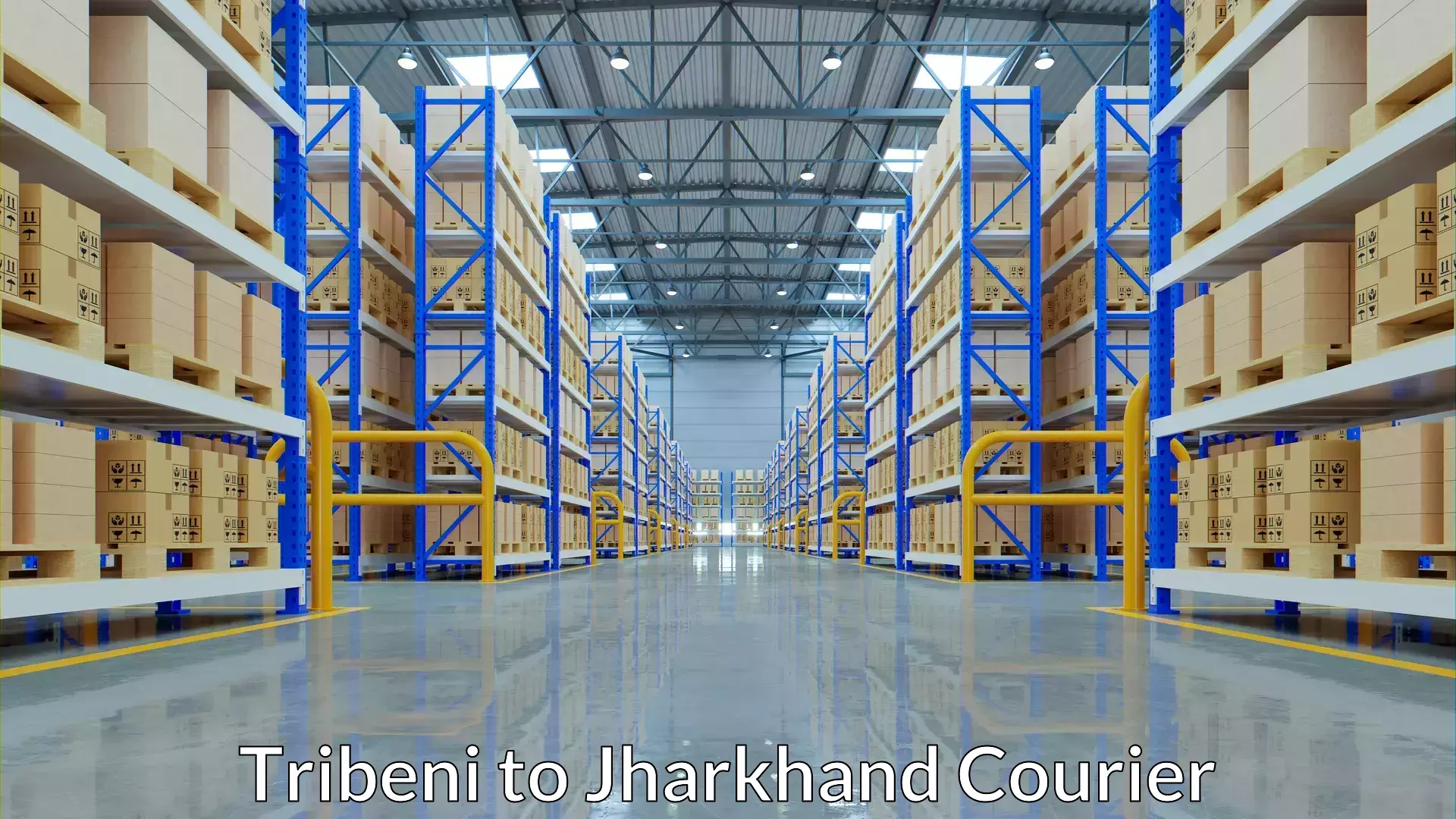 Smart parcel tracking Tribeni to Jagannathpur