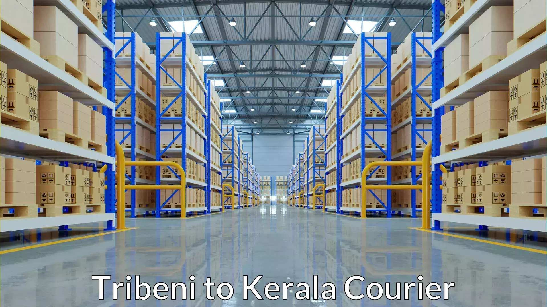 On-demand shipping options Tribeni to Pangodu