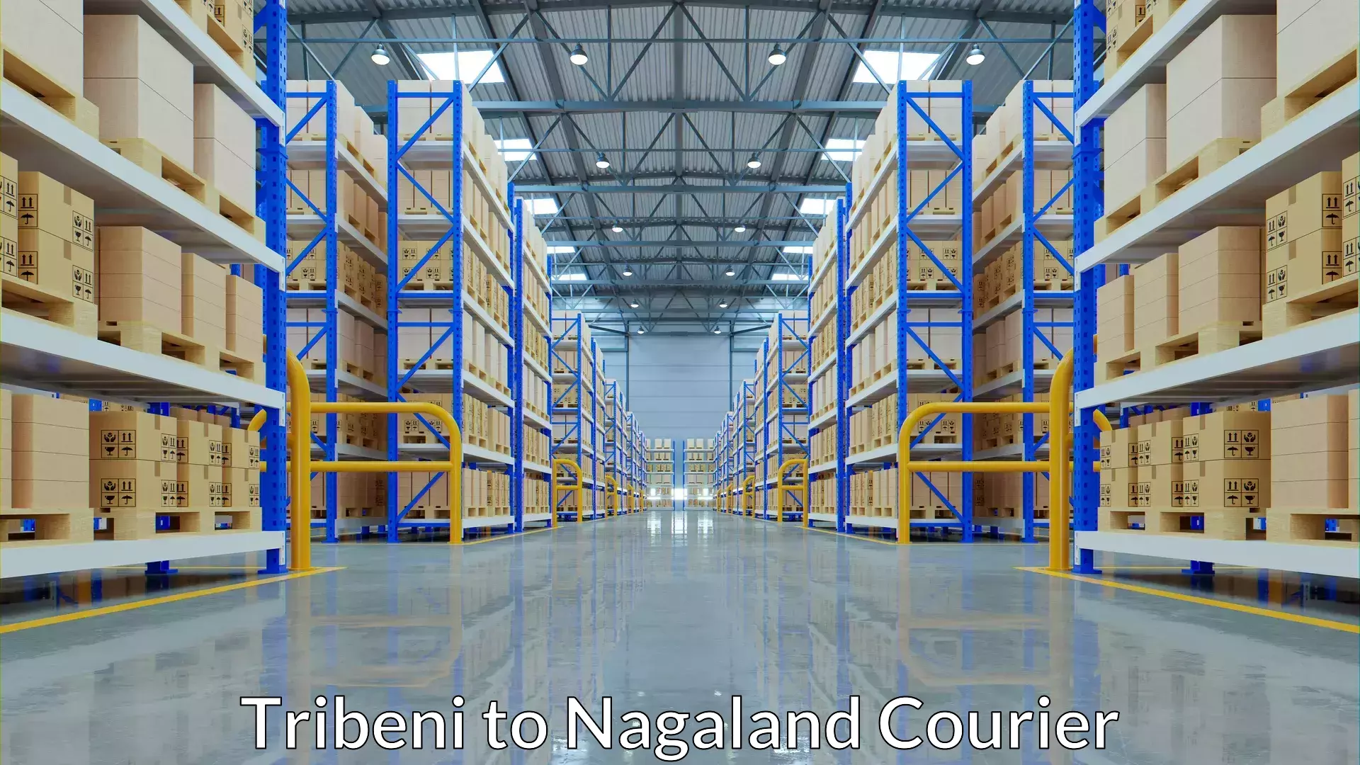 Custom courier solutions Tribeni to Nagaland