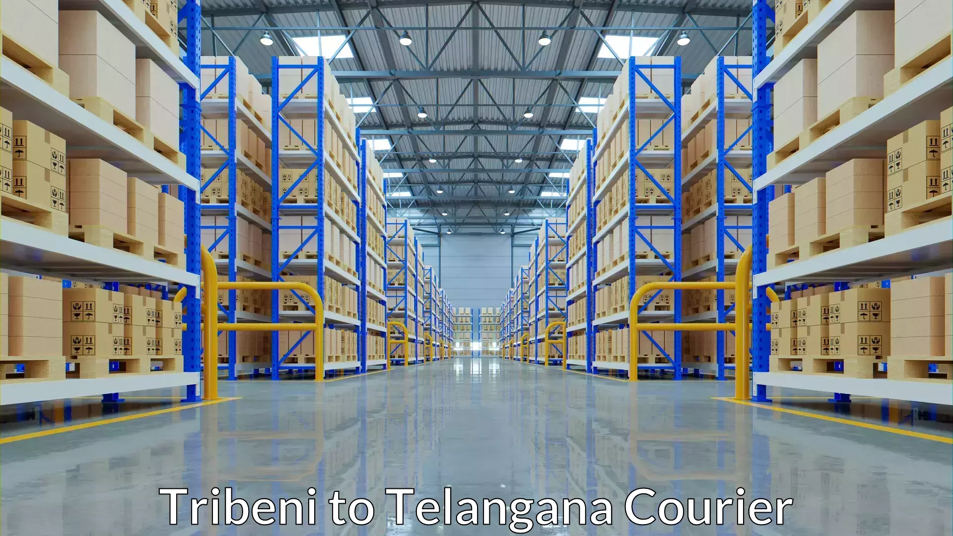 Custom courier packaging Tribeni to Babasagar