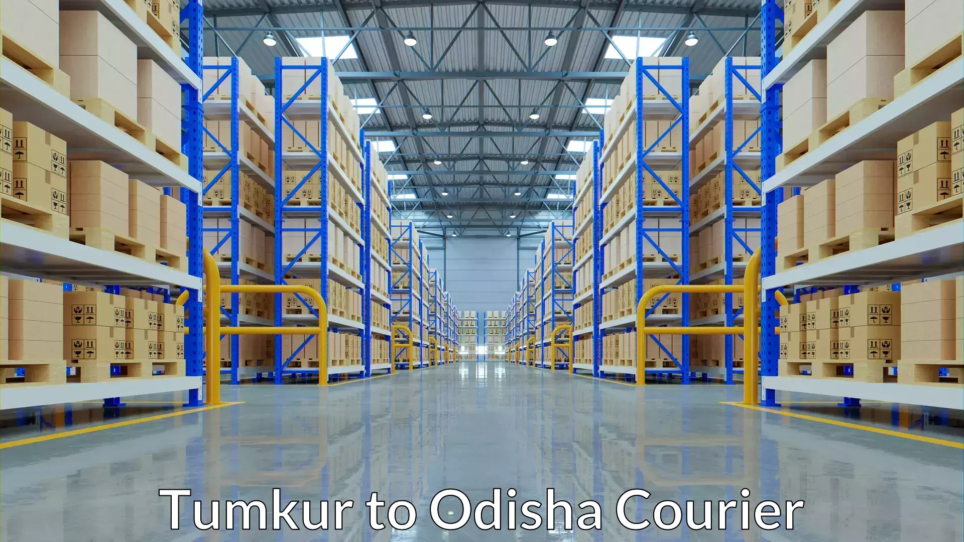 Logistics efficiency Tumkur to Dhamara