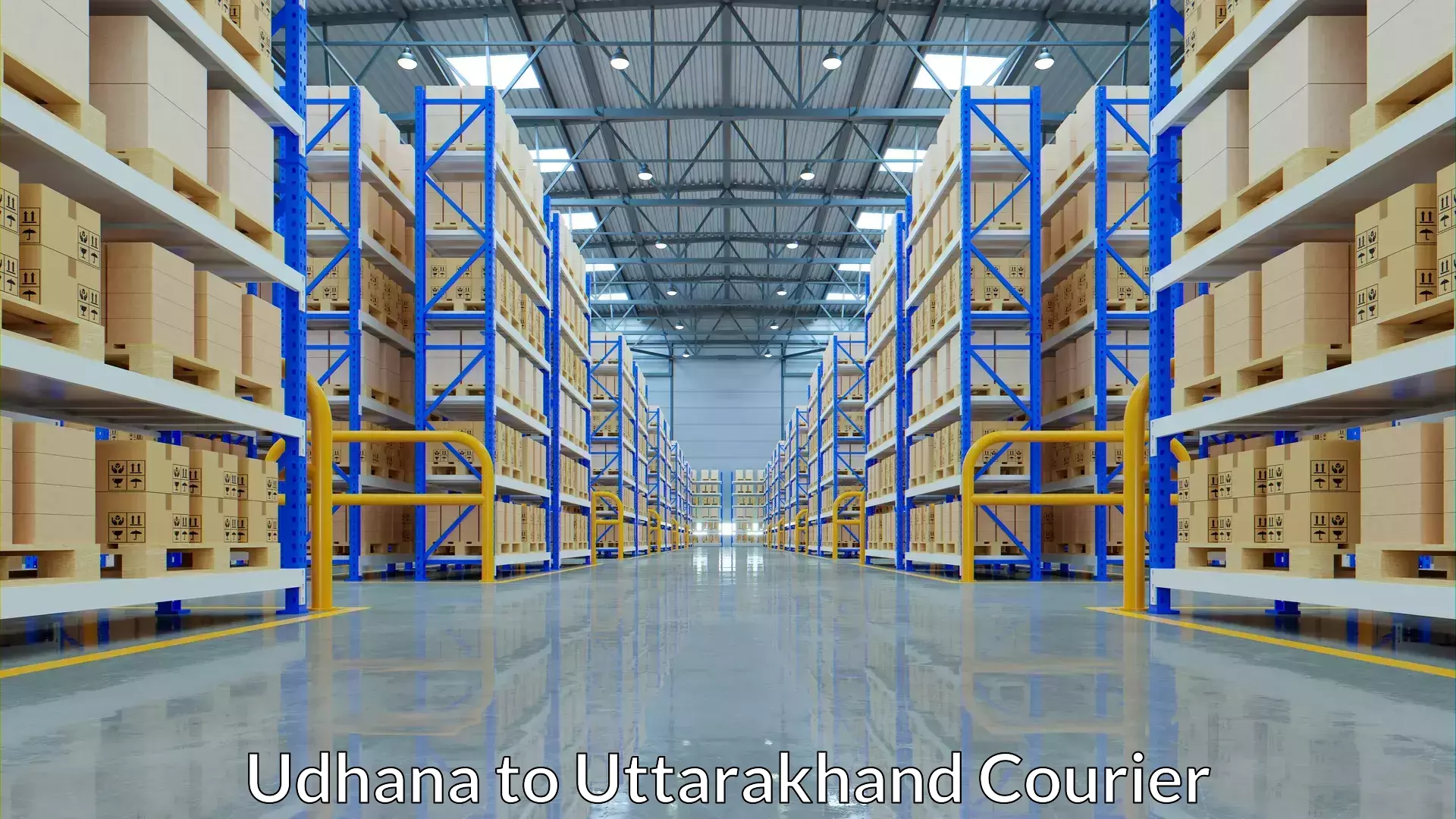 Multi-service courier options Udhana to Lohaghat