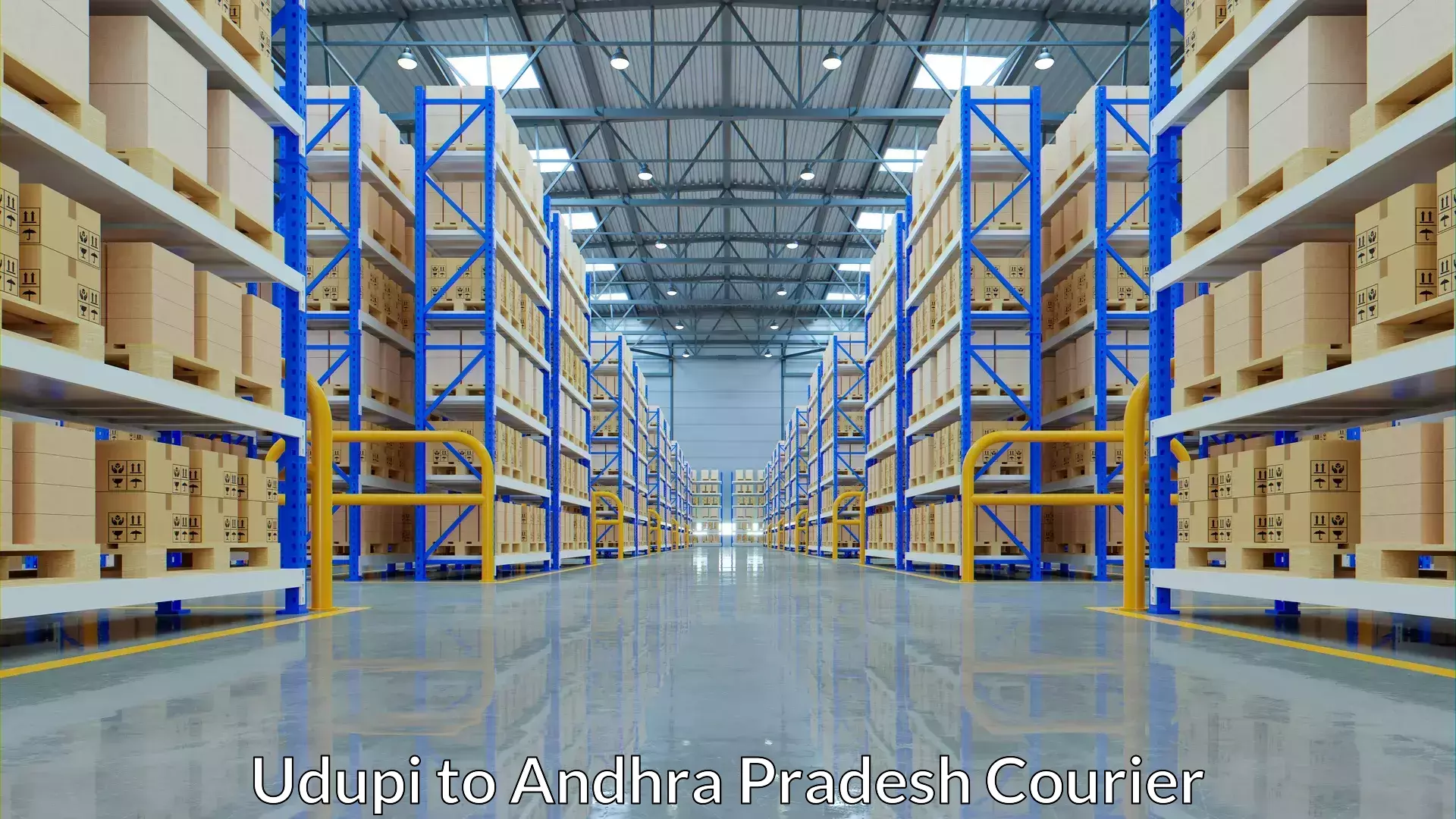 Professional courier services in Udupi to Andhra Pradesh