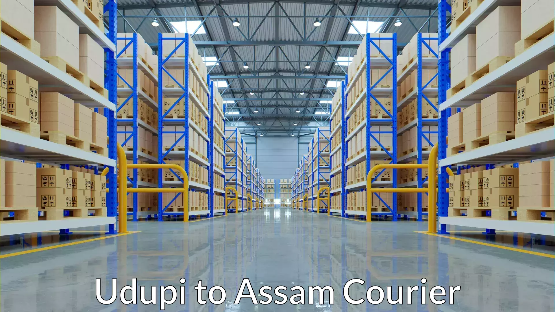 High value parcel delivery Udupi to Assam