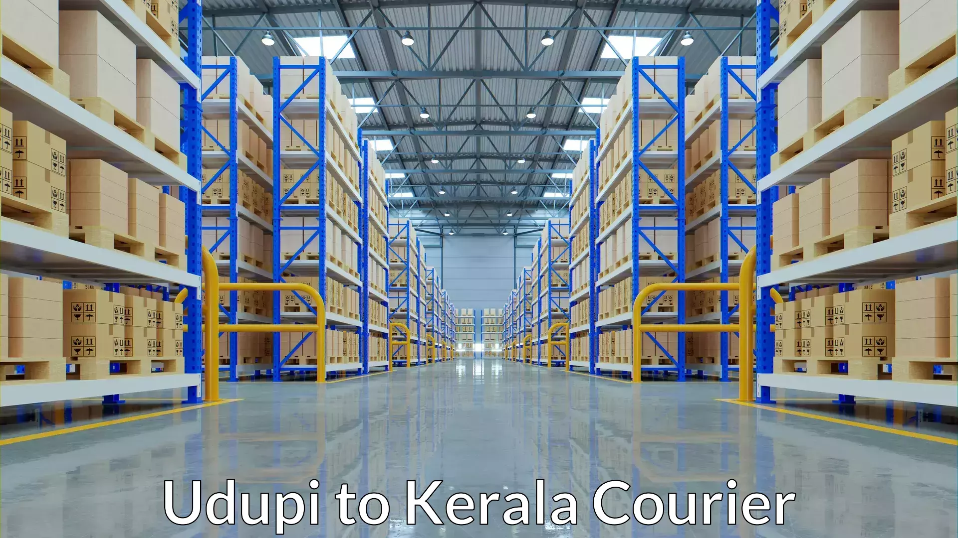 Expedited shipping solutions Udupi to Neyyattinkara