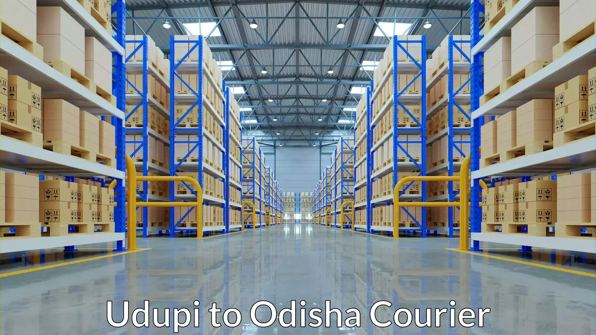 Reliable logistics providers Udupi to Boudh