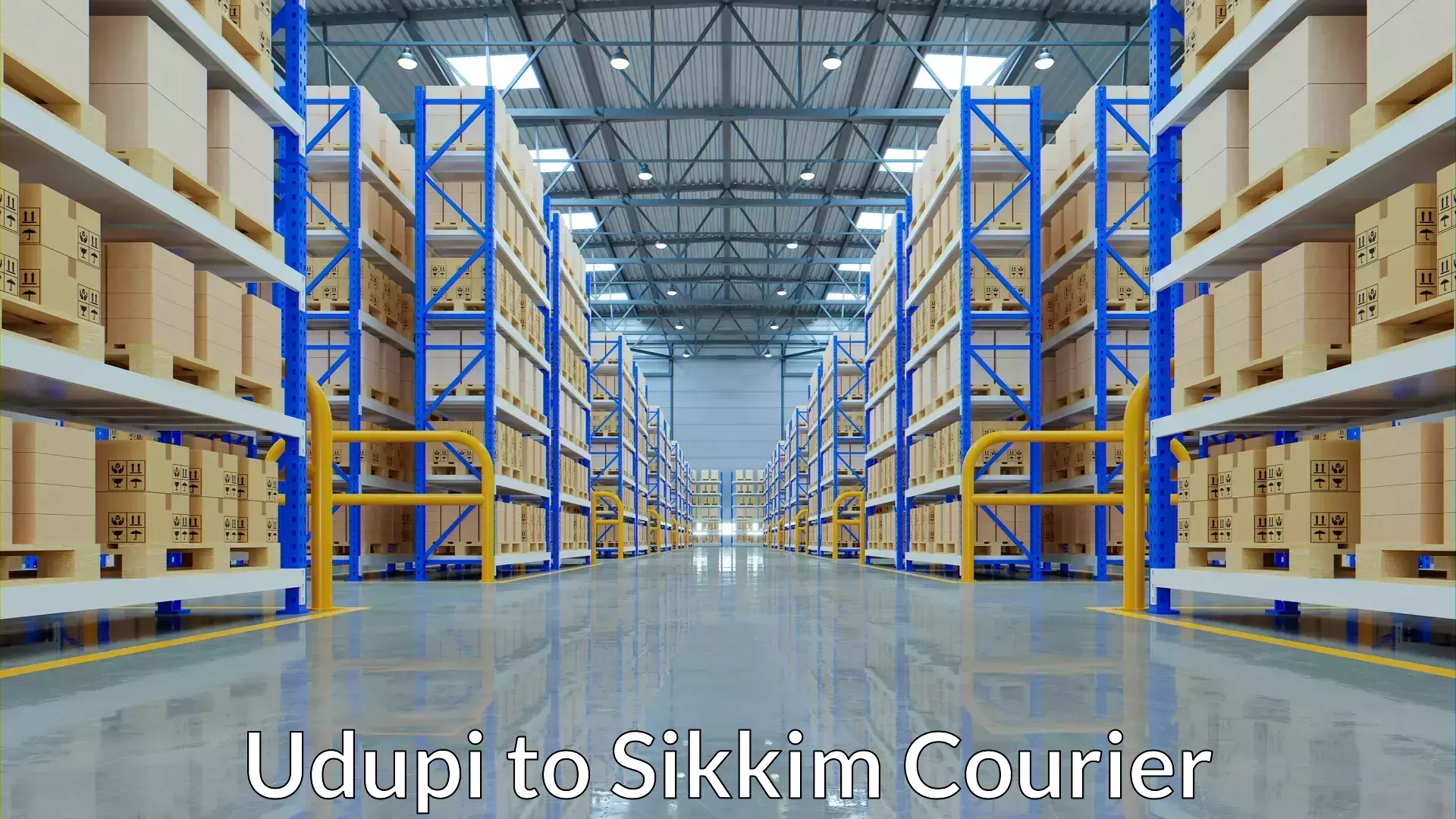 Advanced shipping services Udupi to East Sikkim