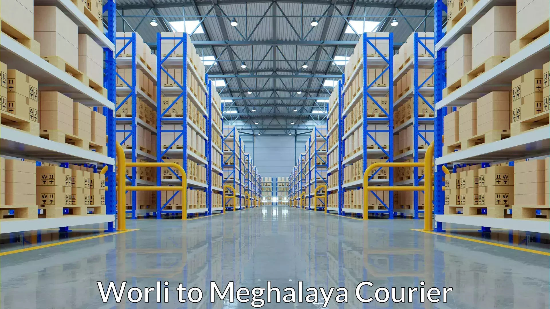 Parcel delivery automation Worli to Meghalaya