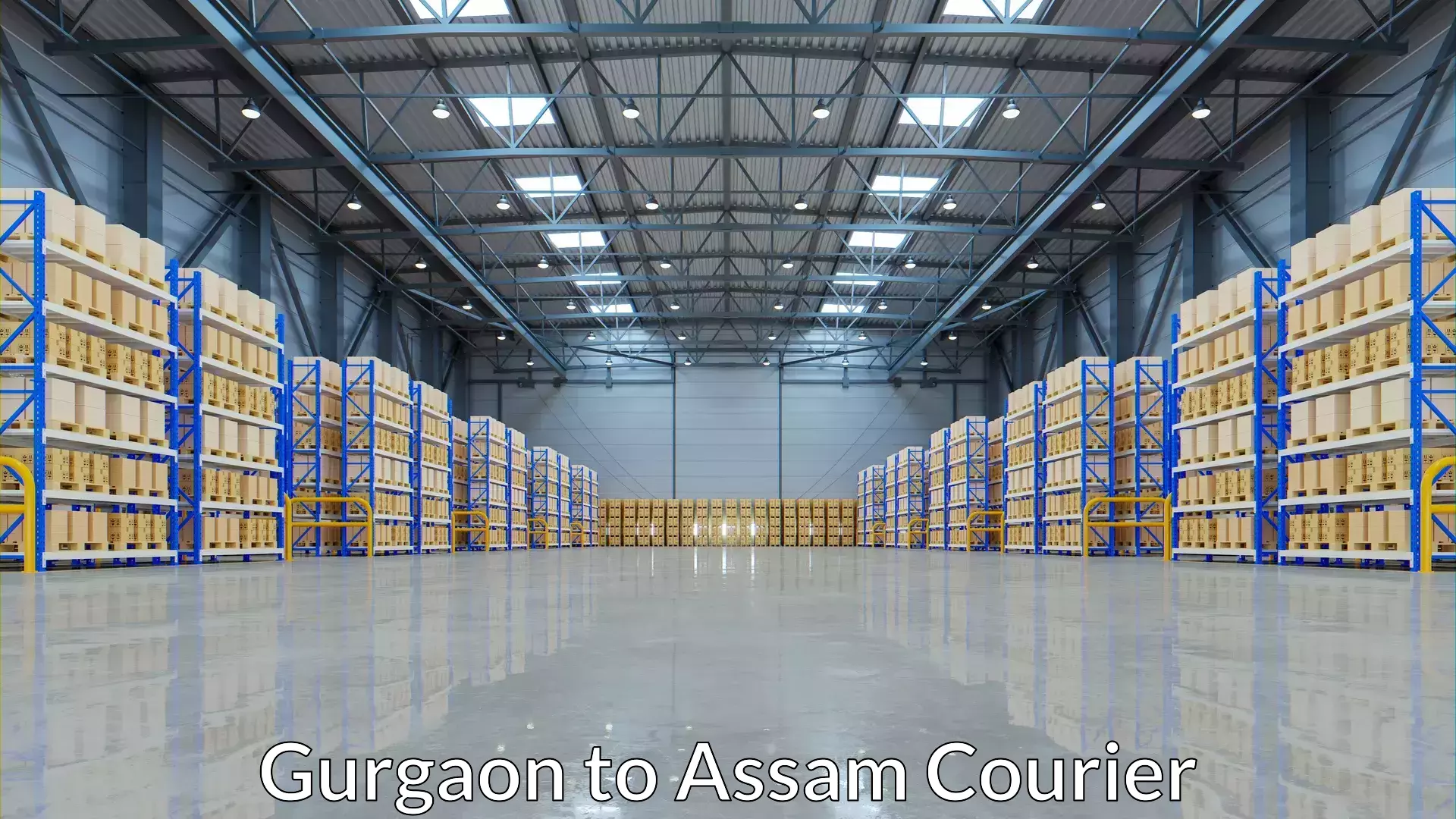 Premium courier solutions Gurgaon to Hojai