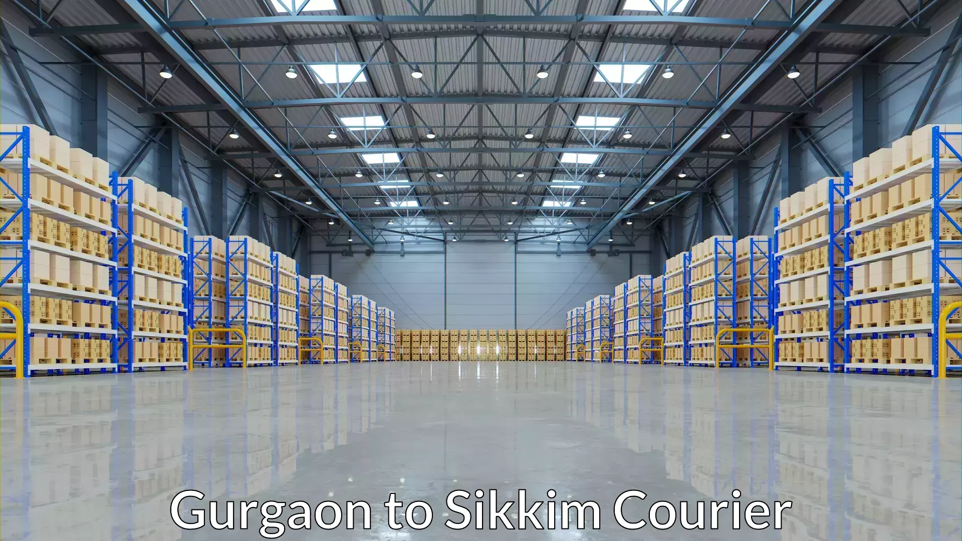 Efficient parcel tracking Gurgaon to West Sikkim