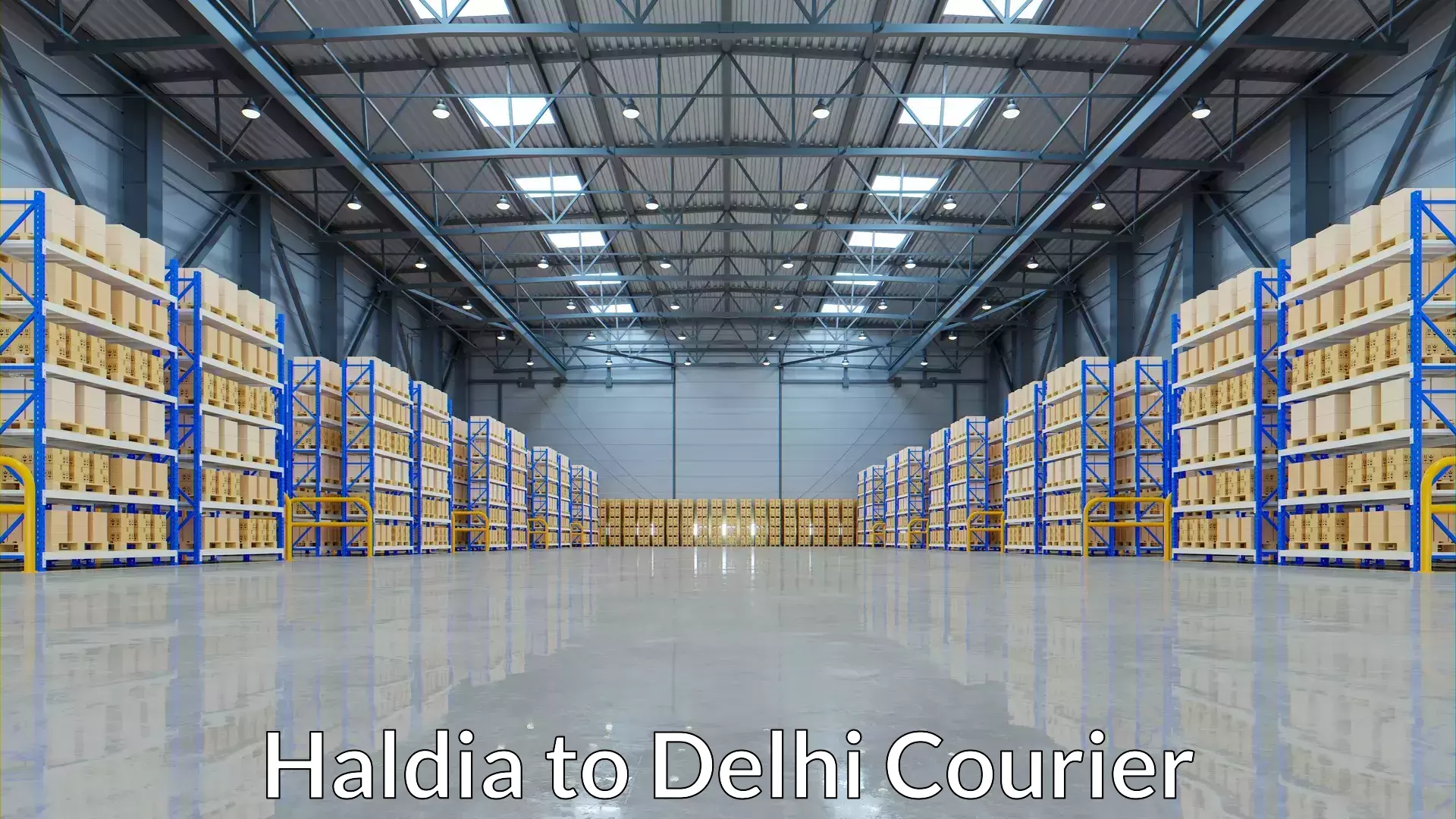 Multi-national courier services Haldia to Delhi