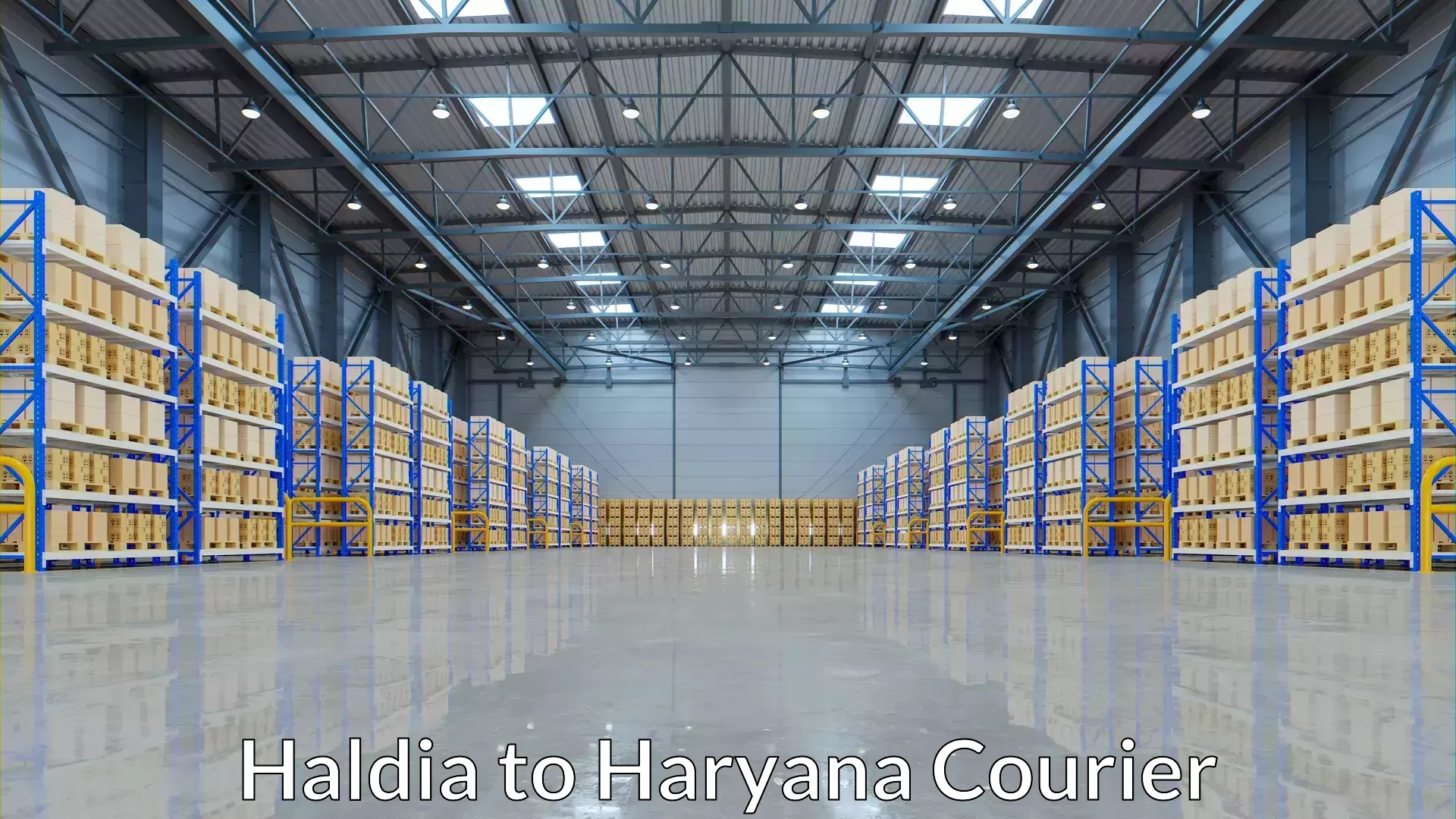 Multi-service courier options Haldia to Ratia