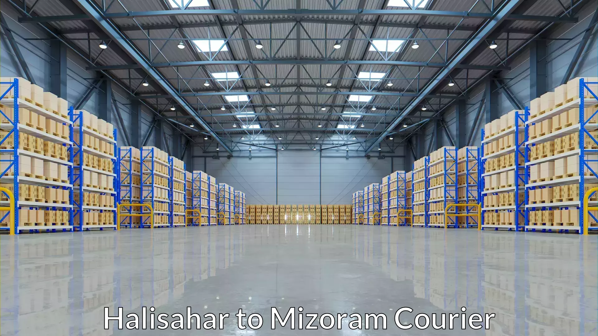 Efficient parcel delivery Halisahar to Mizoram University Aizawl