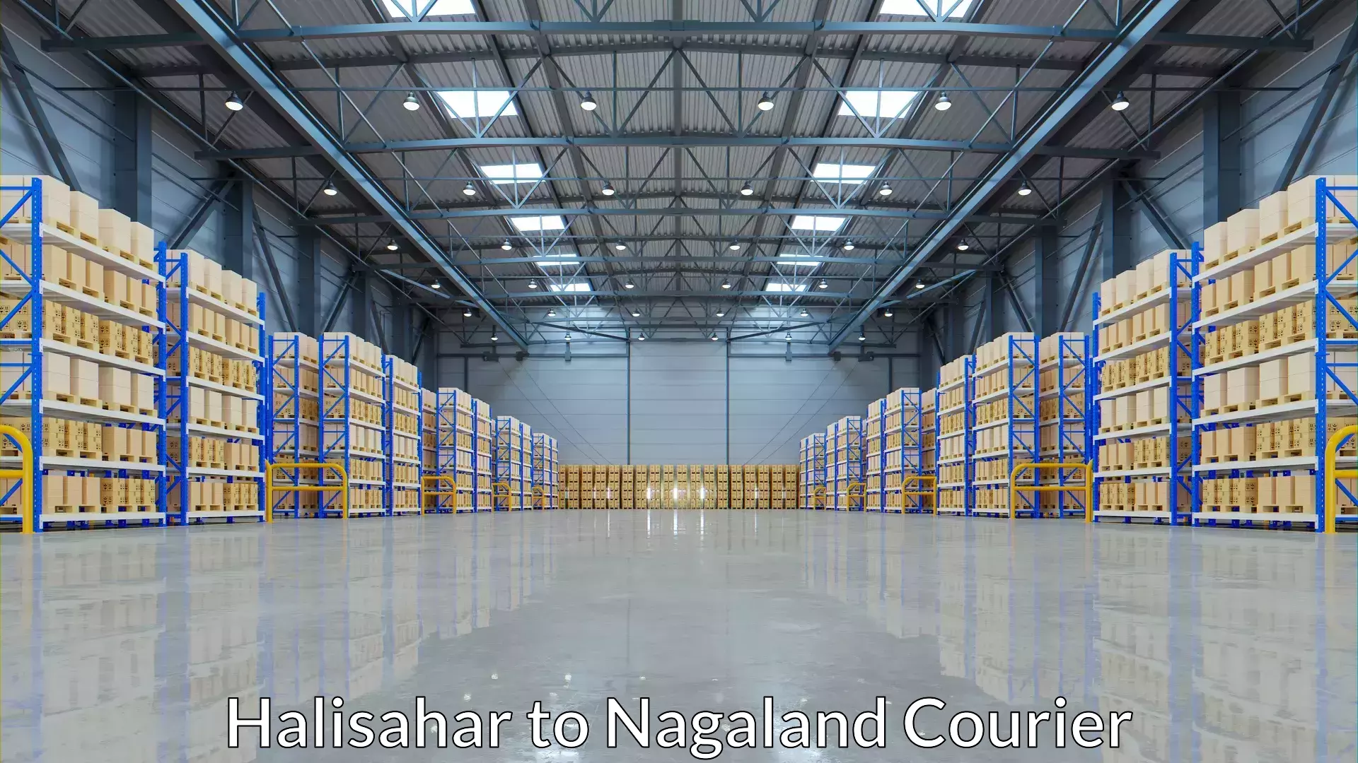 Easy access courier services in Halisahar to Dimapur