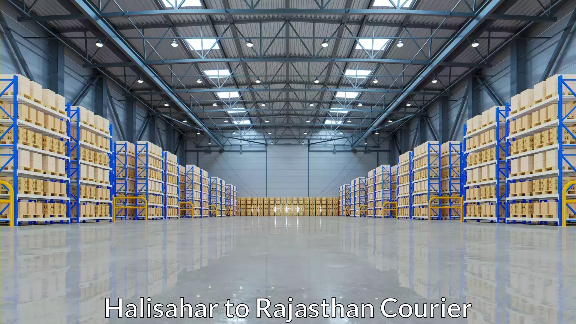 Affordable shipping rates in Halisahar to Udaipur