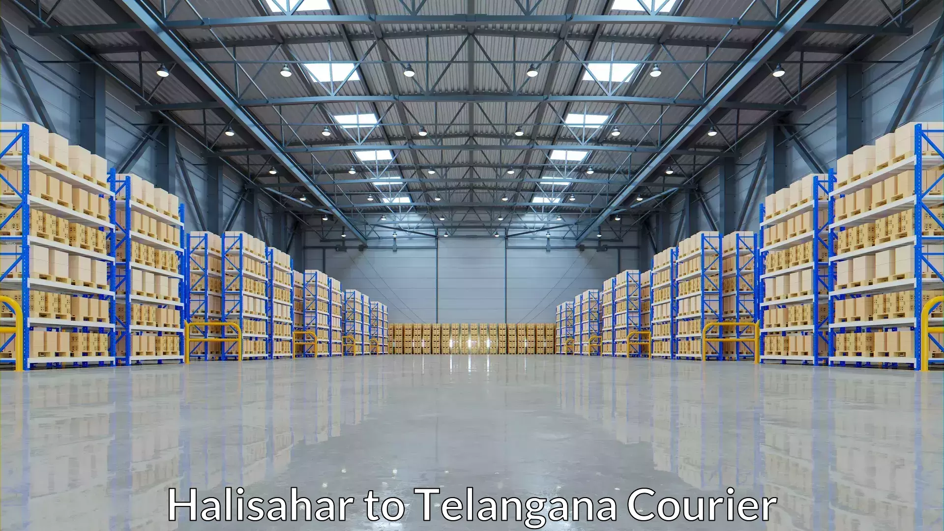 Affordable parcel service Halisahar to Narsampet