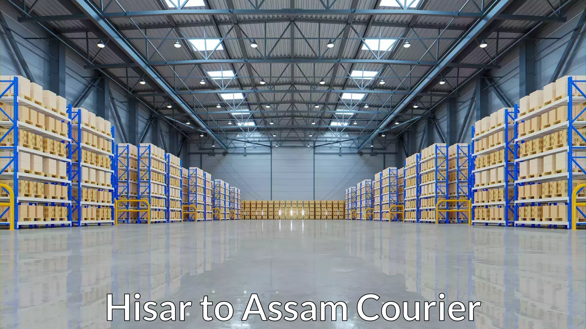 Wholesale parcel delivery Hisar to Bilasipara