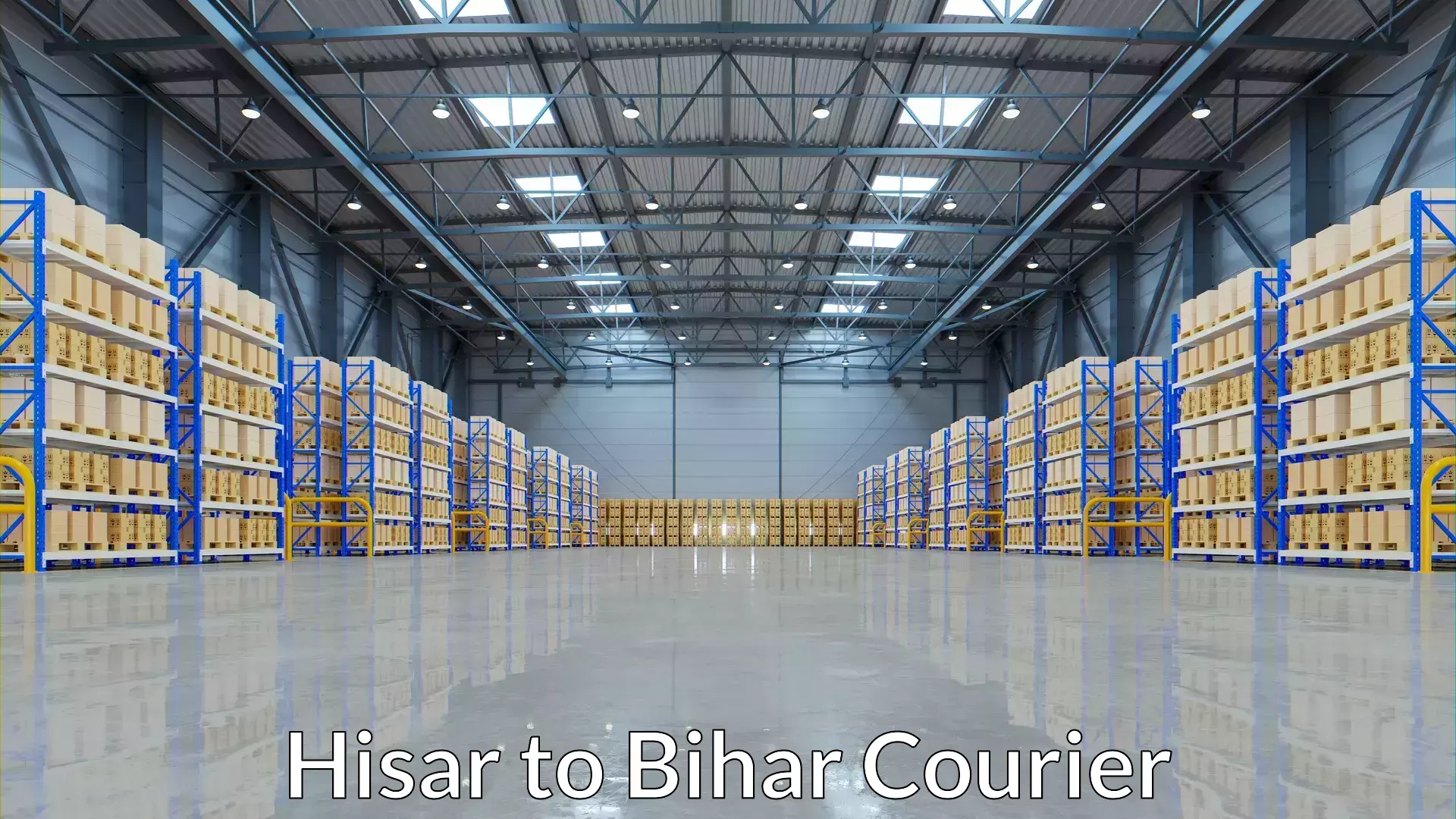 Affordable logistics services Hisar to Kalyanpur Samastipur