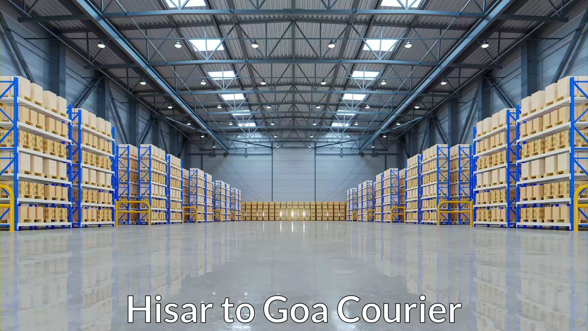 Professional courier services Hisar to Panjim