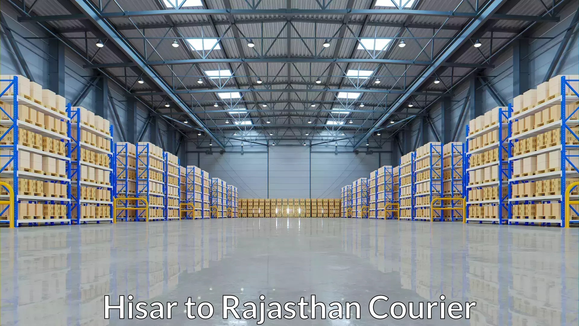 Versatile courier options in Hisar to Karauli