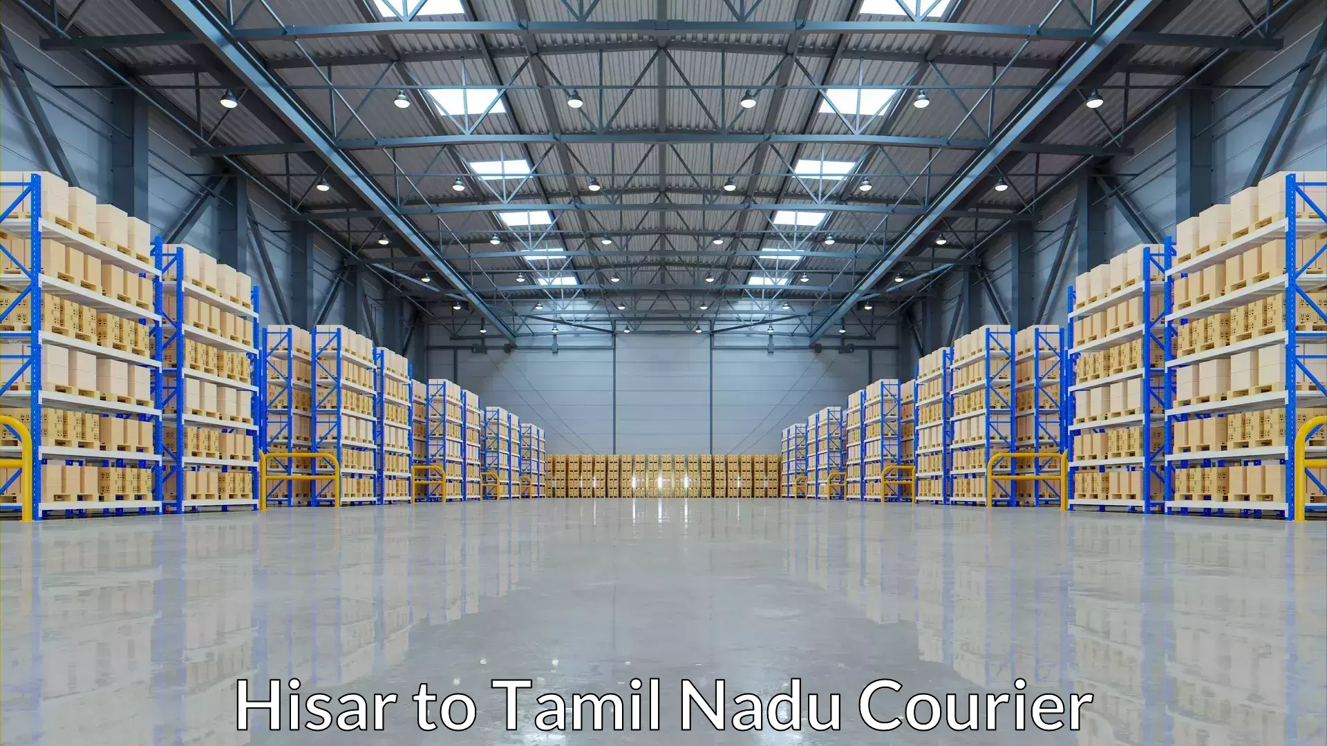 Trackable shipping service Hisar to Coimbatore