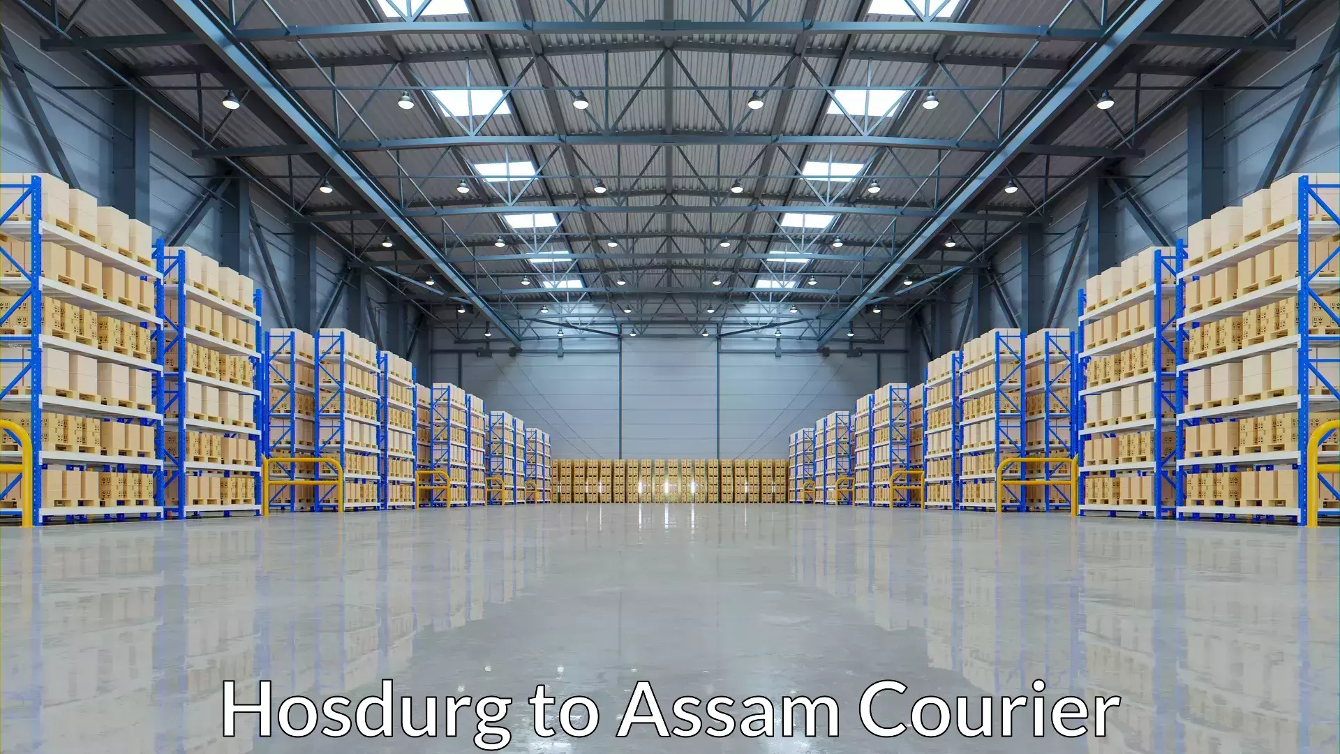 Bulk courier orders Hosdurg to Dima Hasao