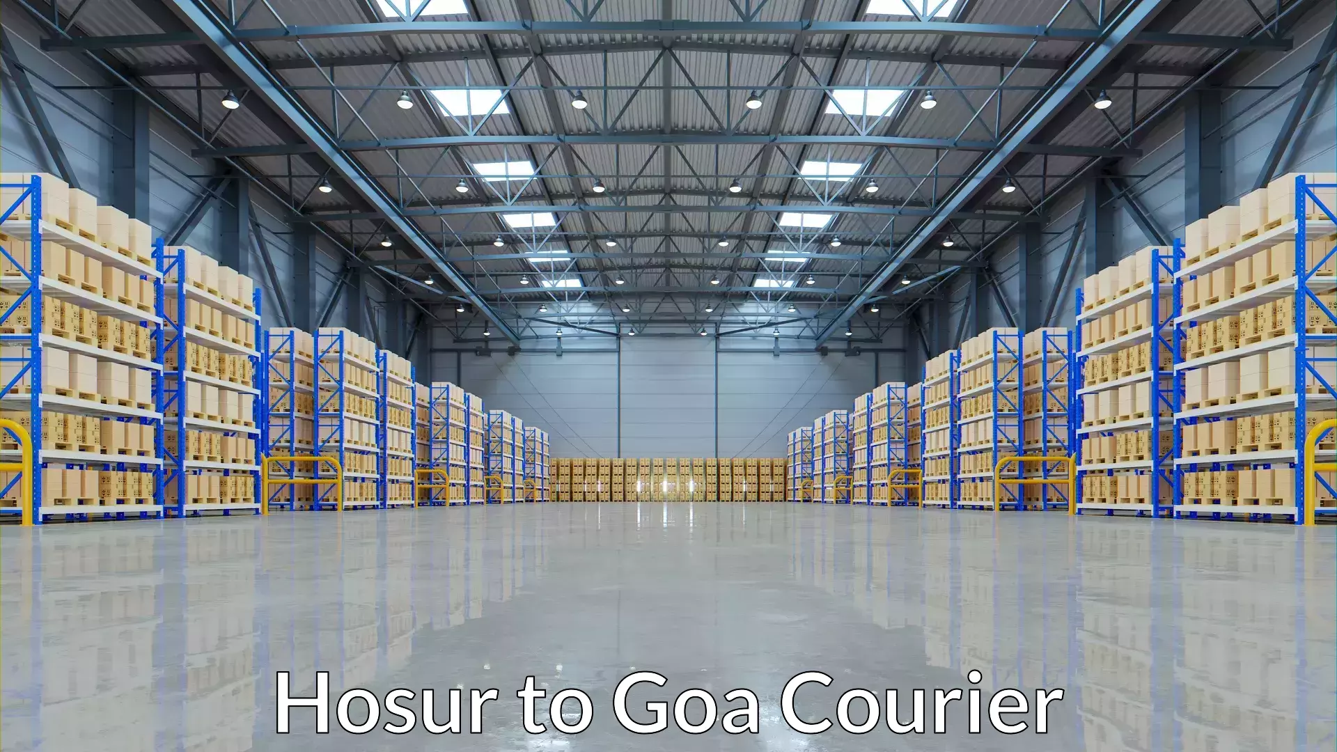 Advanced shipping logistics Hosur to Goa