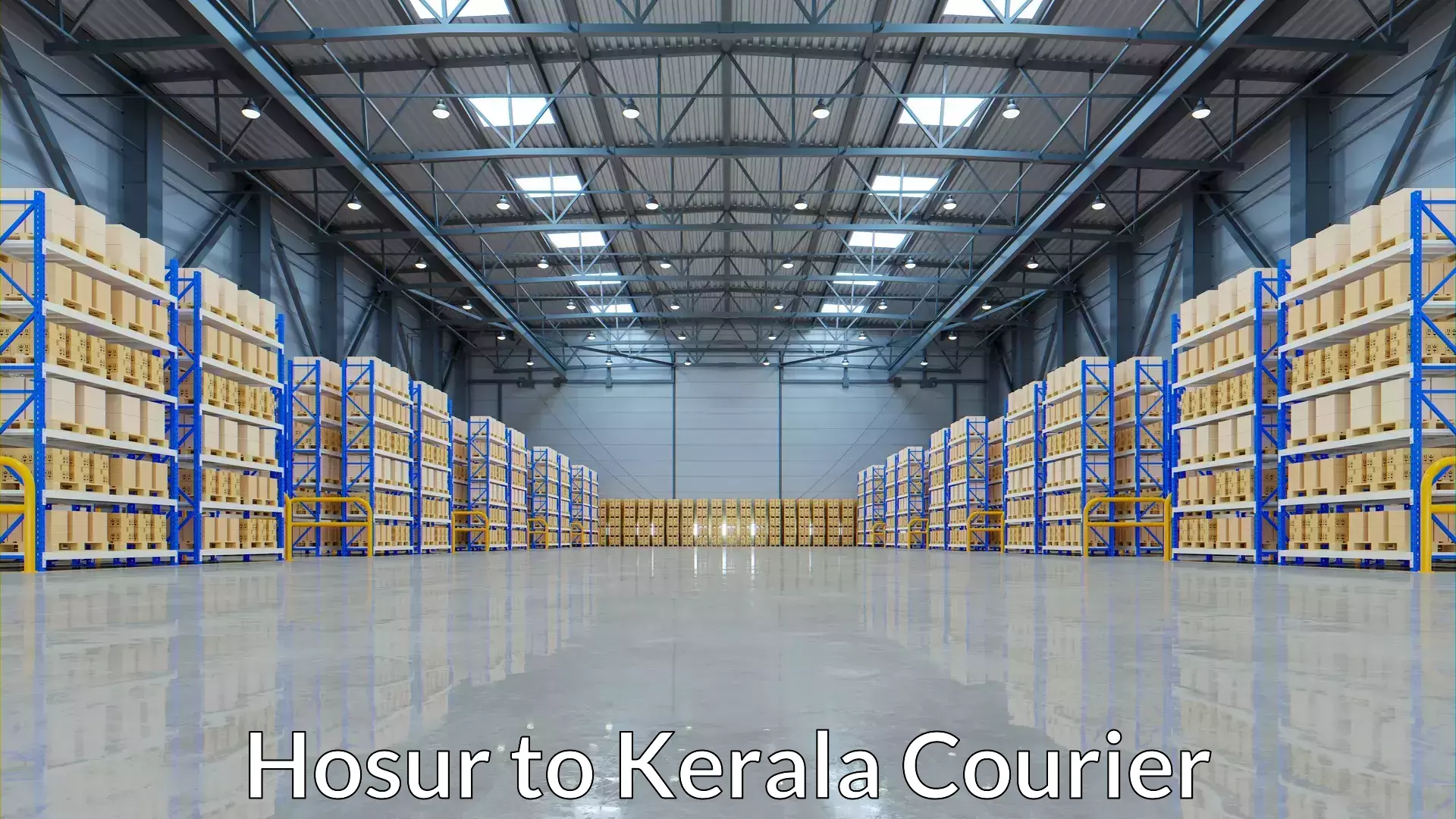 Multi-modal transportation Hosur to Kerala