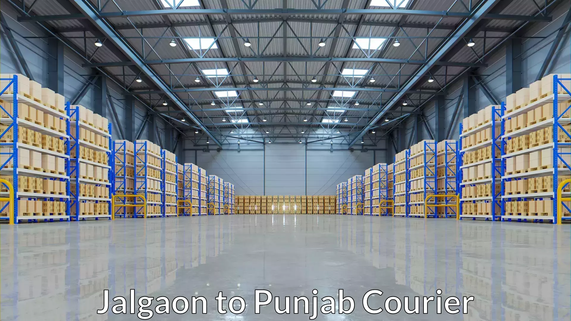 Pharmaceutical courier Jalgaon to Punjab