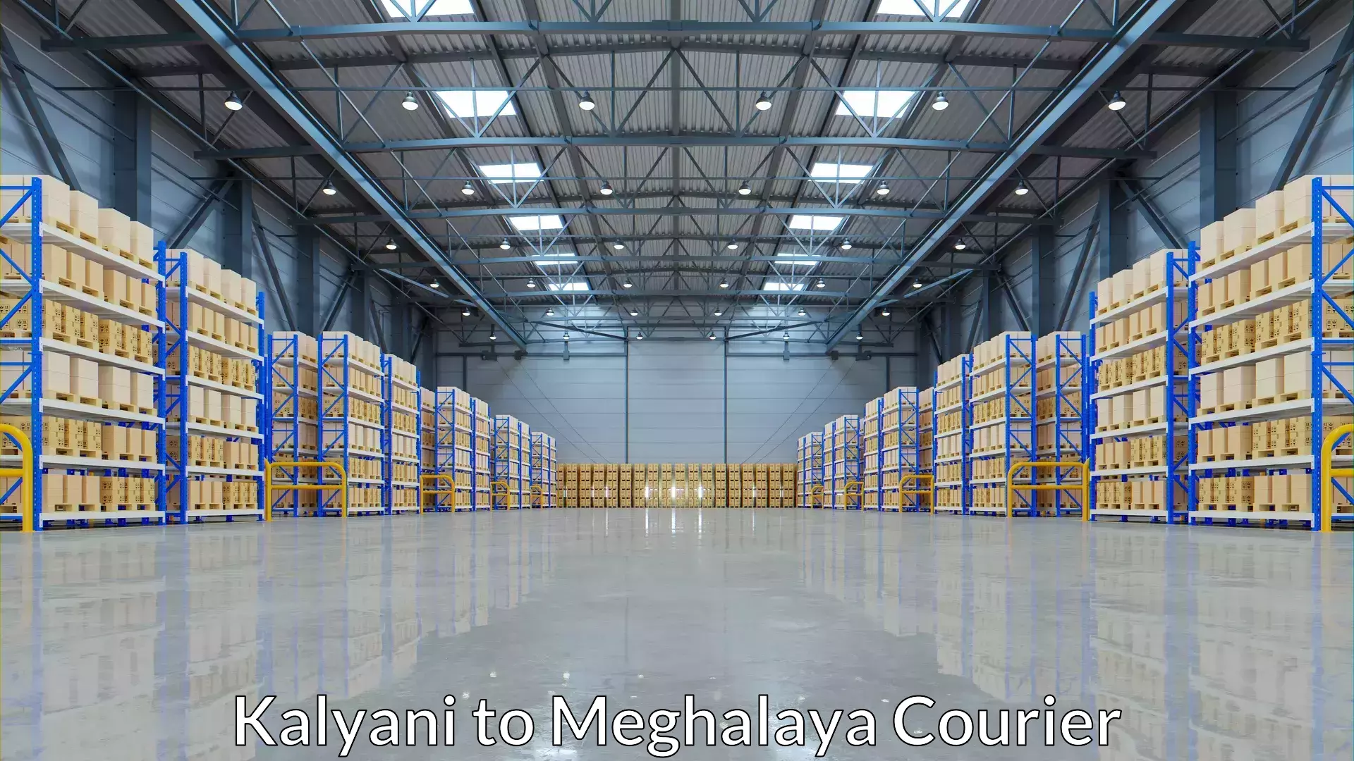 Premium courier solutions Kalyani to East Khasi Hills