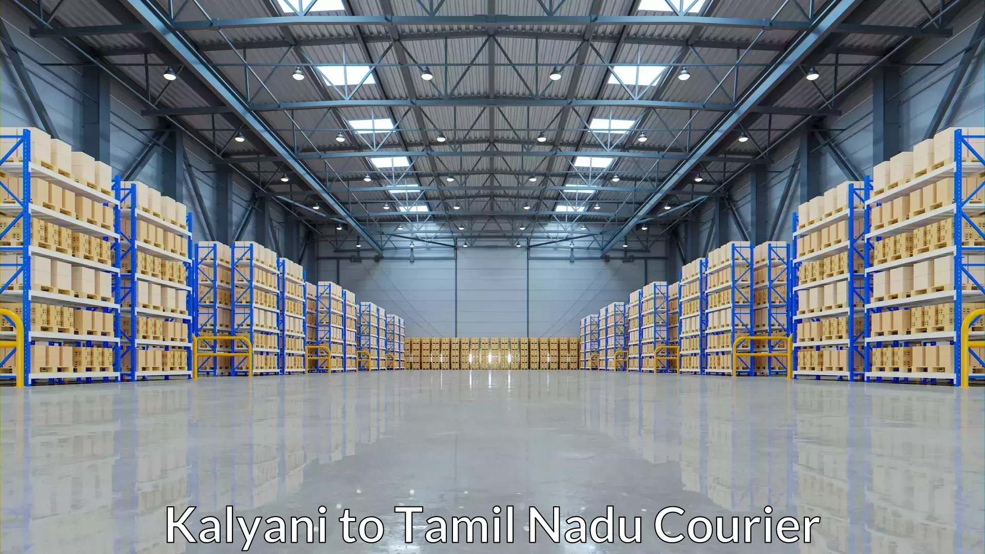 Modern courier technology Kalyani to Nanguneri