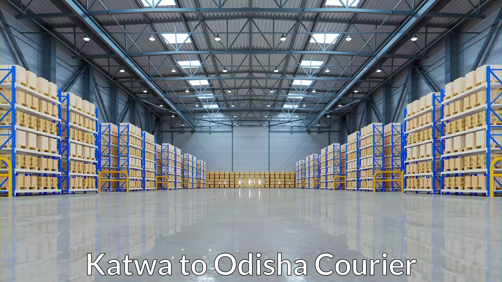 Versatile courier options Katwa to Odisha