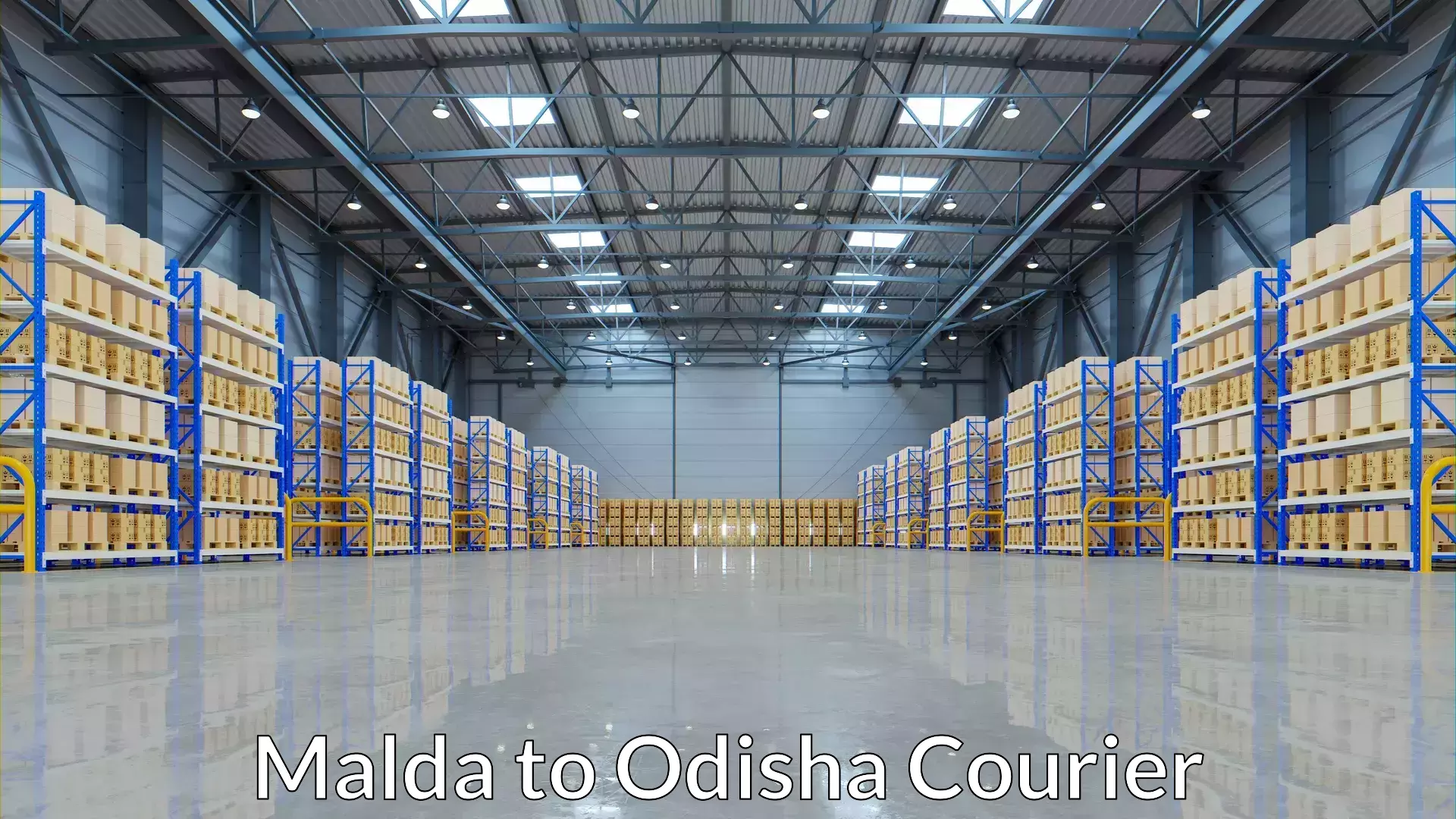 Professional parcel services Malda to Kalahandi