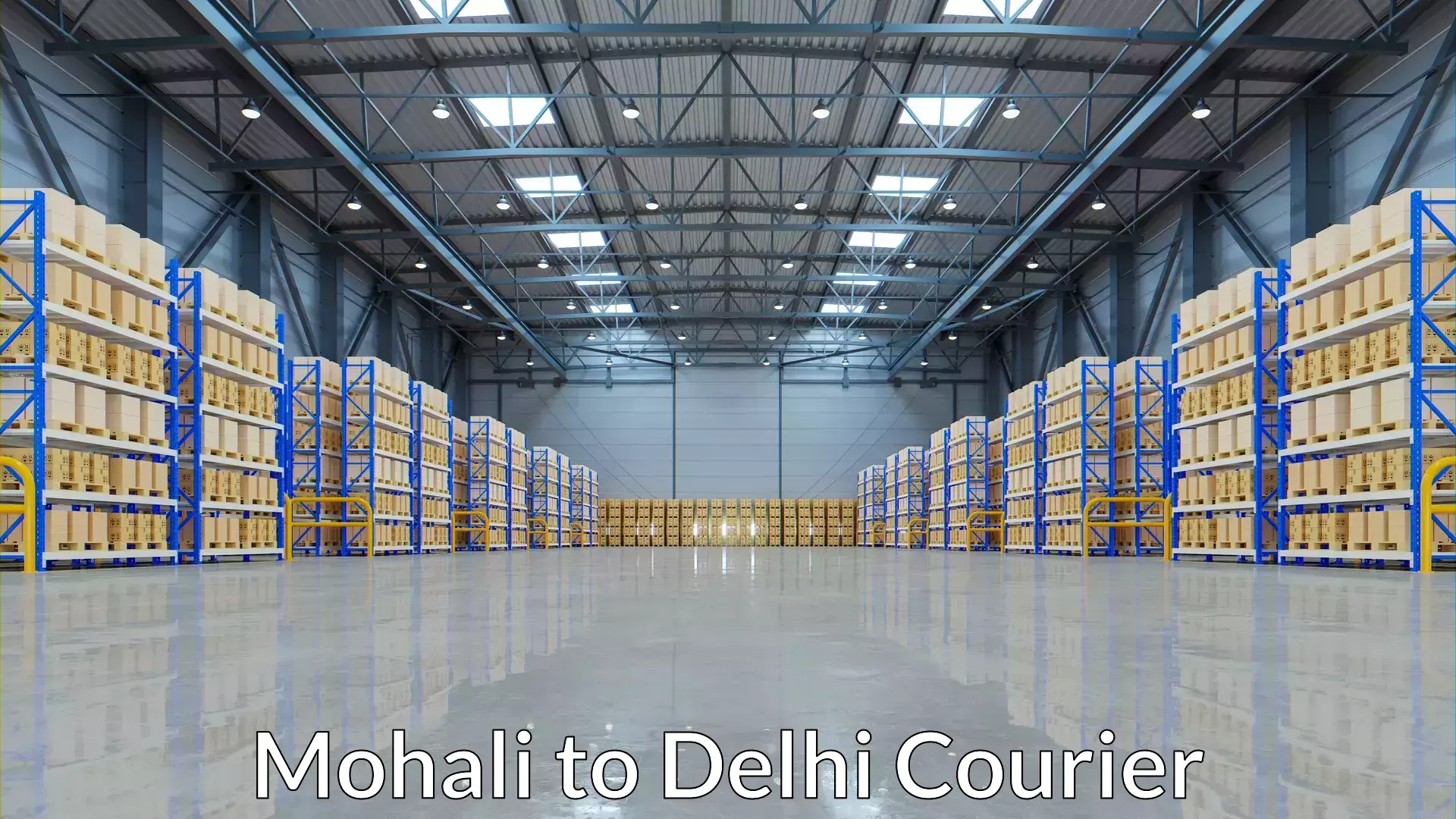 Multi-package shipping Mohali to Lodhi Road