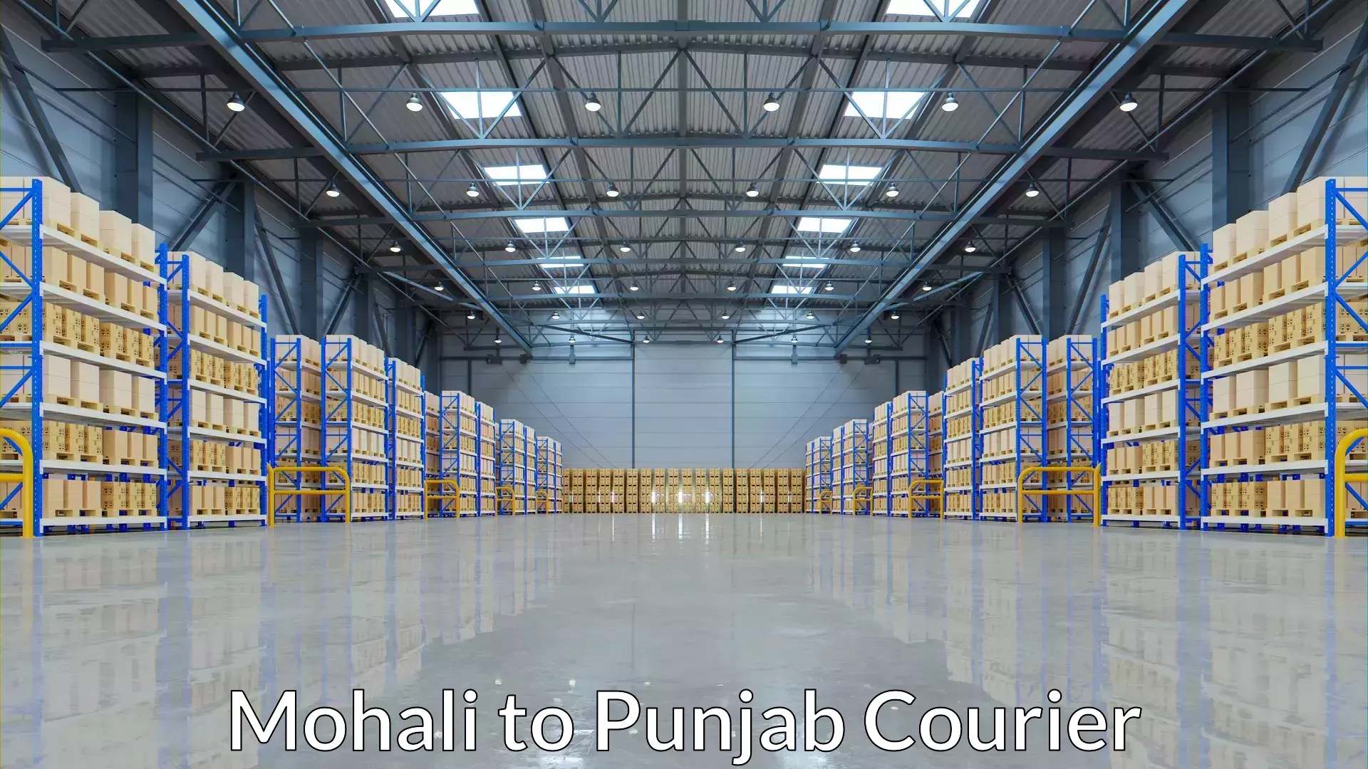 Online package tracking Mohali to Punjab