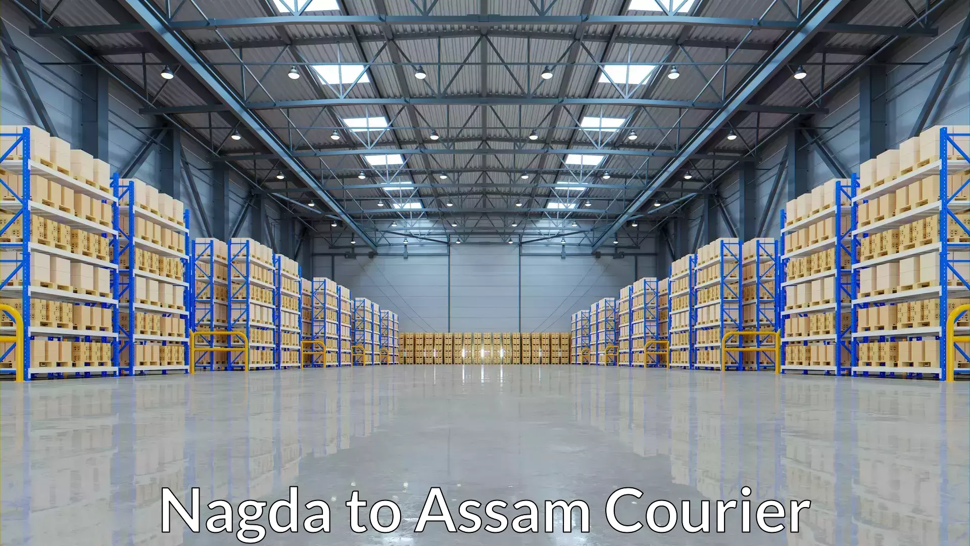 Next-day delivery options Nagda to Dima Hasao