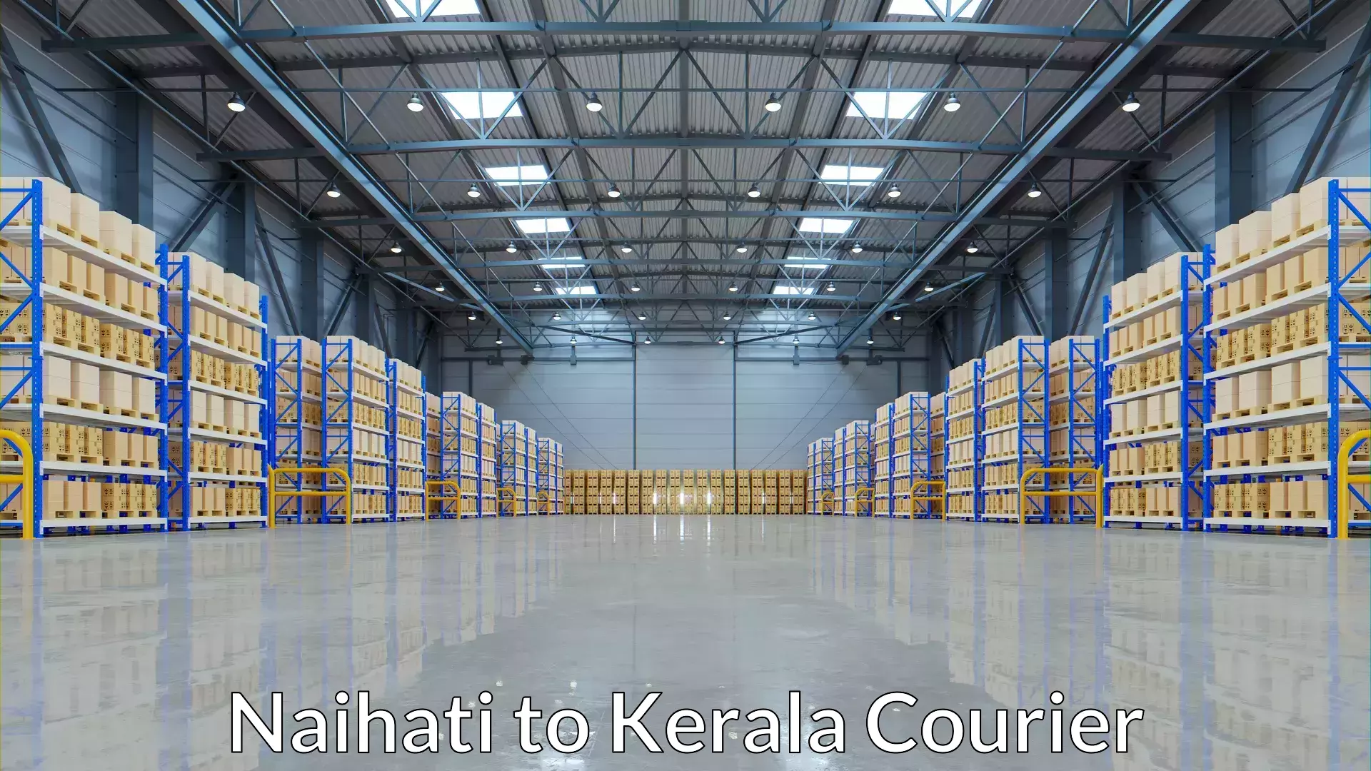 Domestic courier Naihati to Nedumkandam