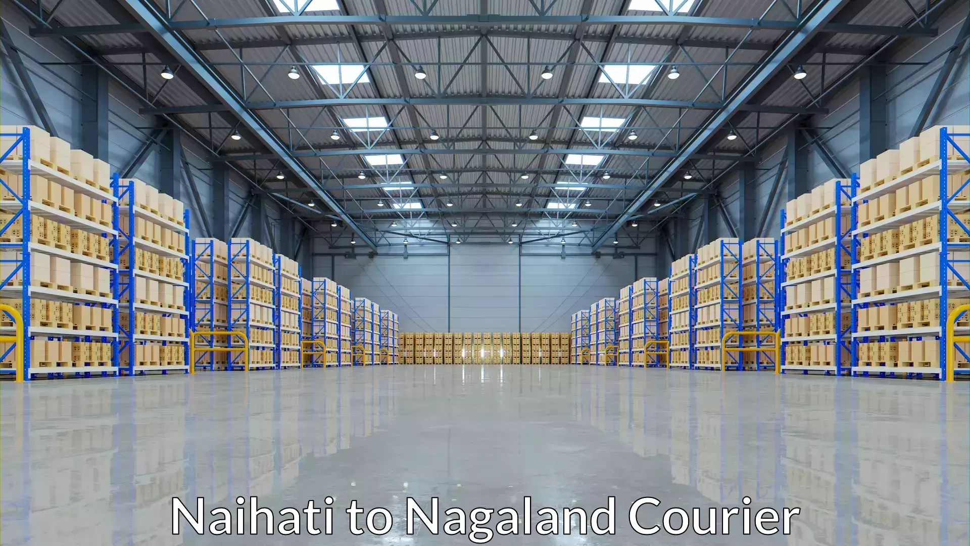 E-commerce shipping Naihati to Nagaland