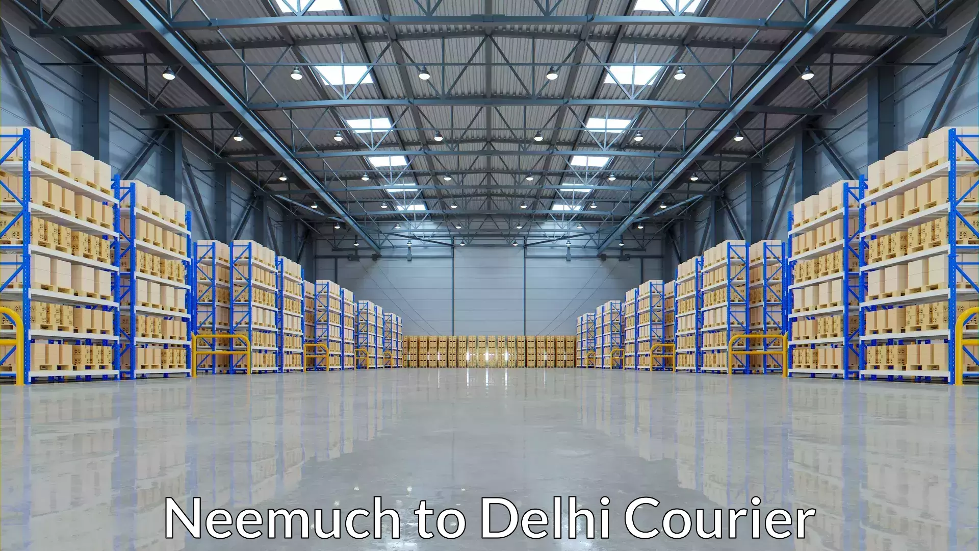 Dynamic courier operations Neemuch to NIT Delhi