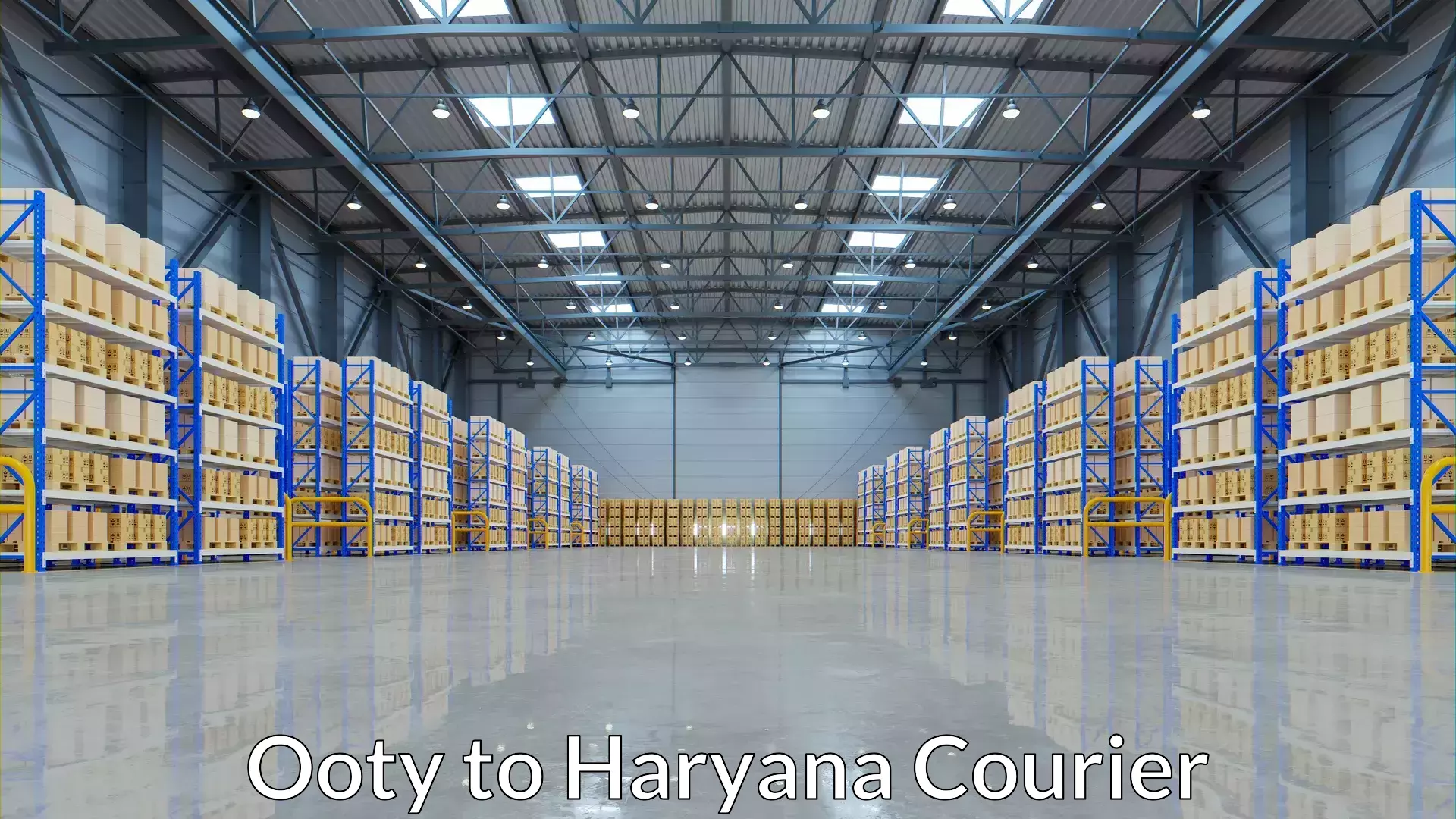 Advanced shipping logistics Ooty to Yamuna Nagar