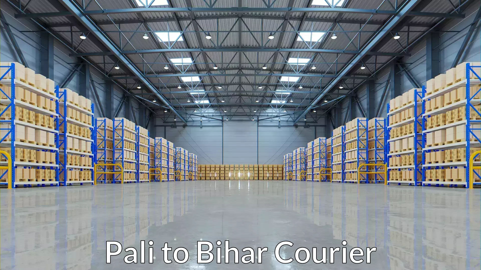 Dynamic courier services Pali to Sahebpur Kamal