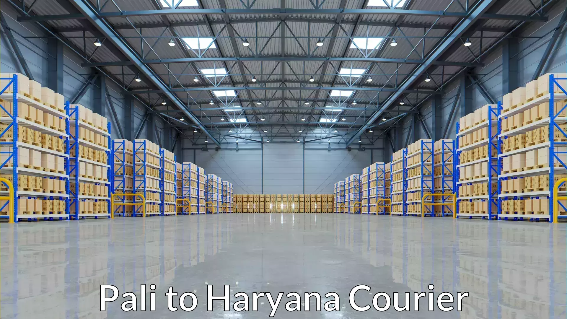 Diverse delivery methods Pali to Haryana