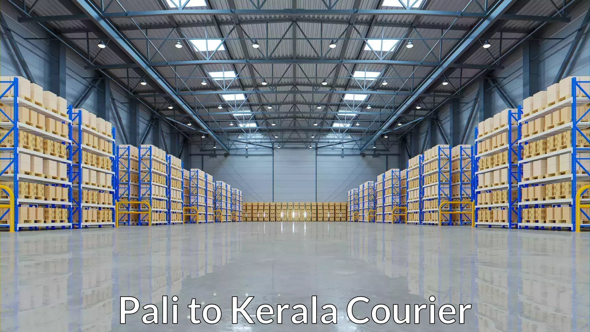 Flexible courier rates Pali to Thiruvananthapuram