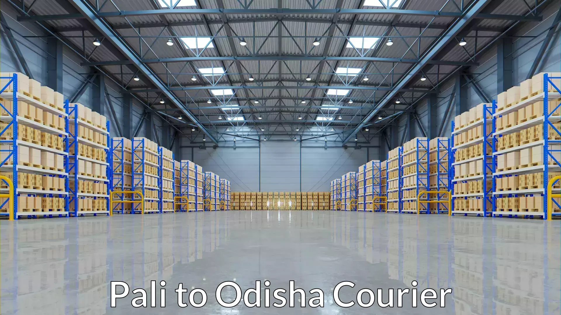 State-of-the-art courier technology Pali to Baisinga