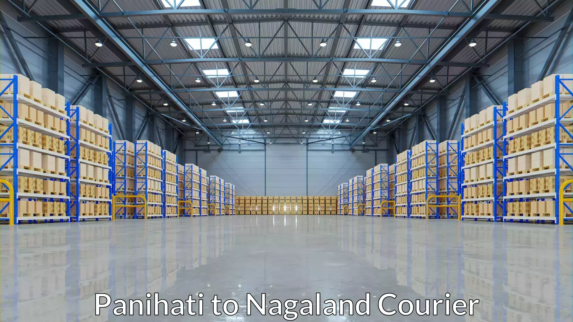 Streamlined logistics management Panihati to Dimapur