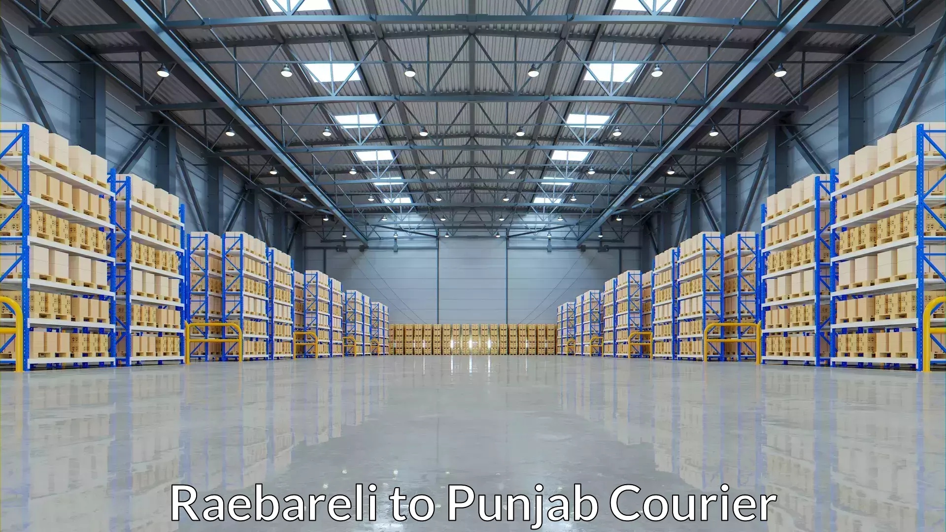 Parcel handling and care Raebareli to Gurdaspur