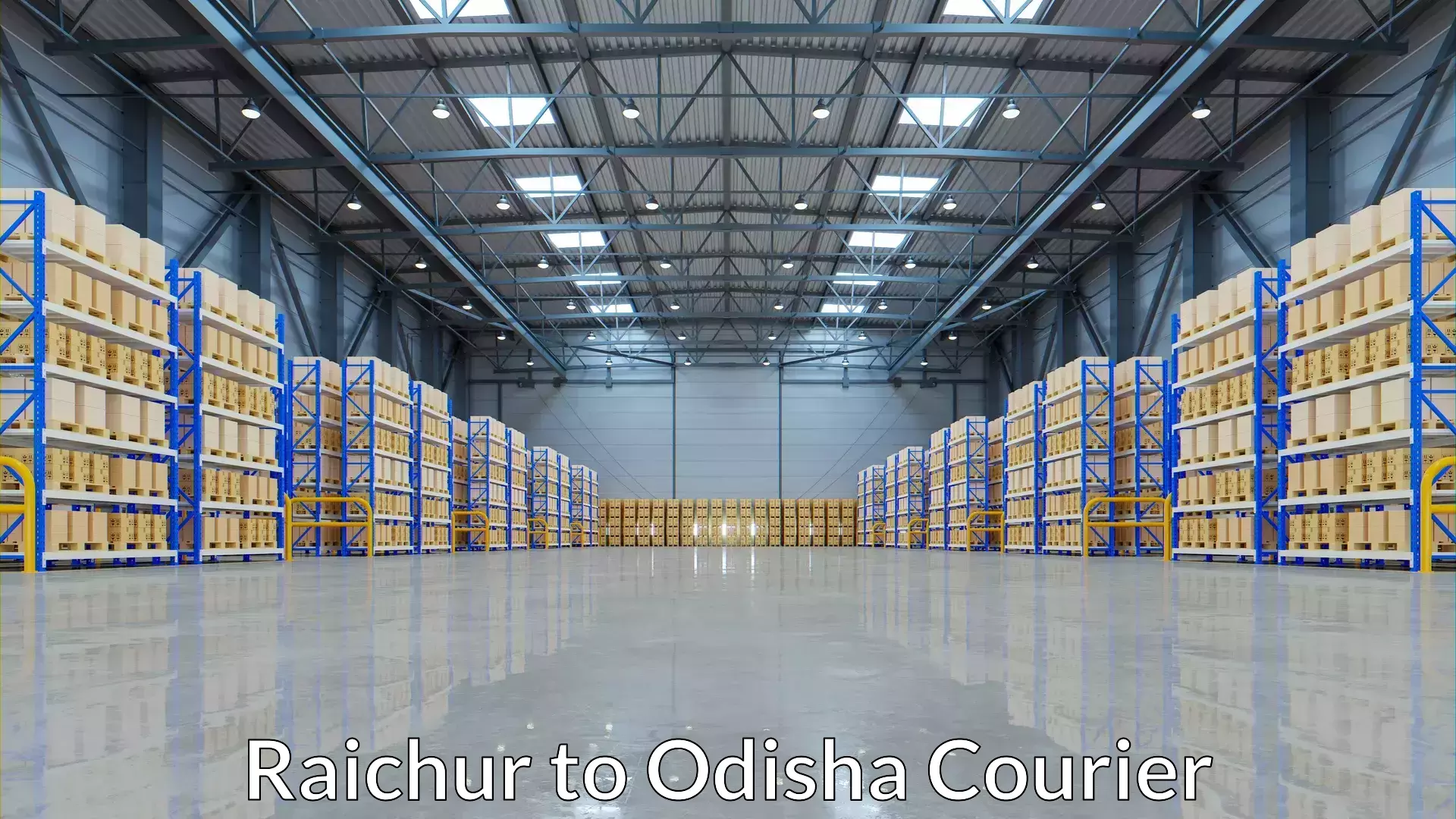 Automated shipping Raichur to Kalinga Institute of Industrial Technology Bhubaneswar