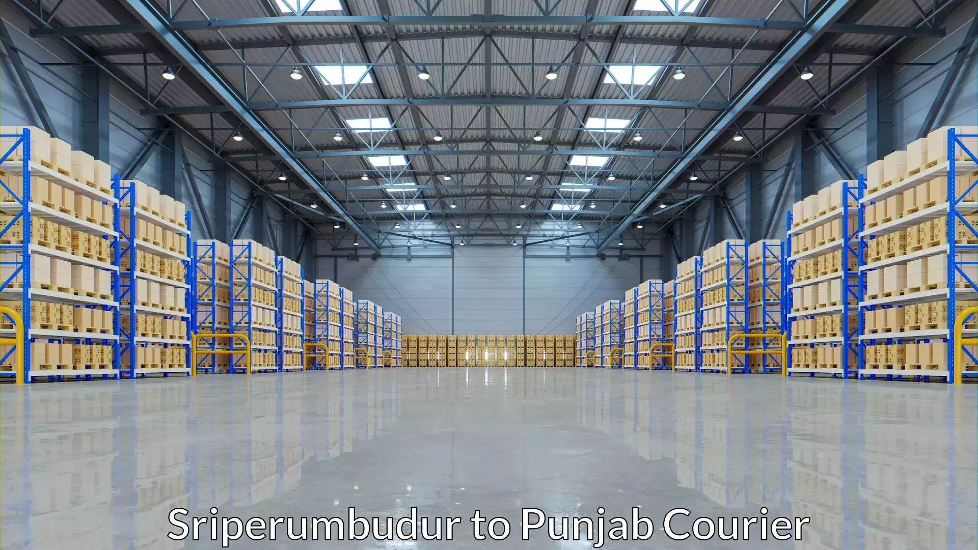 Parcel handling and care Sriperumbudur to Dhilwan